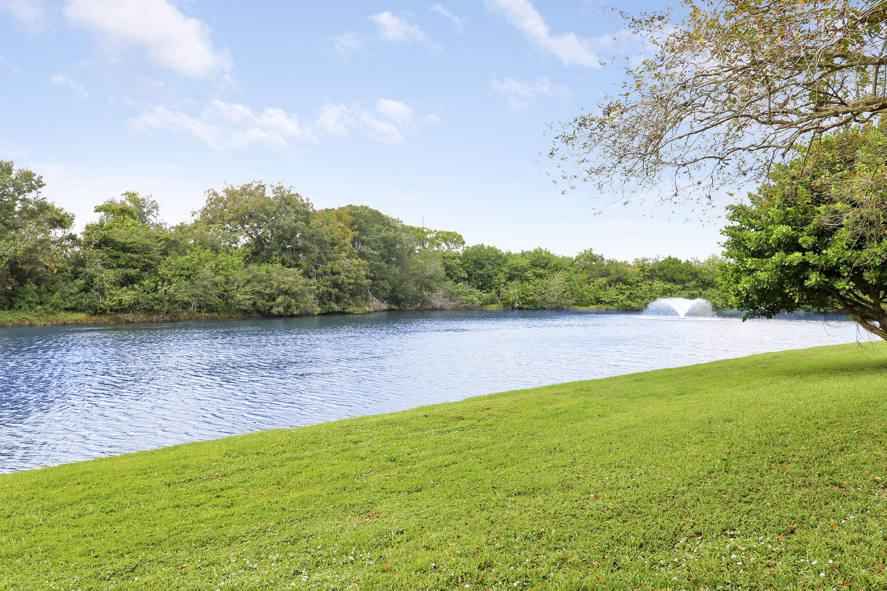 MLS #RX-11140380 image #43