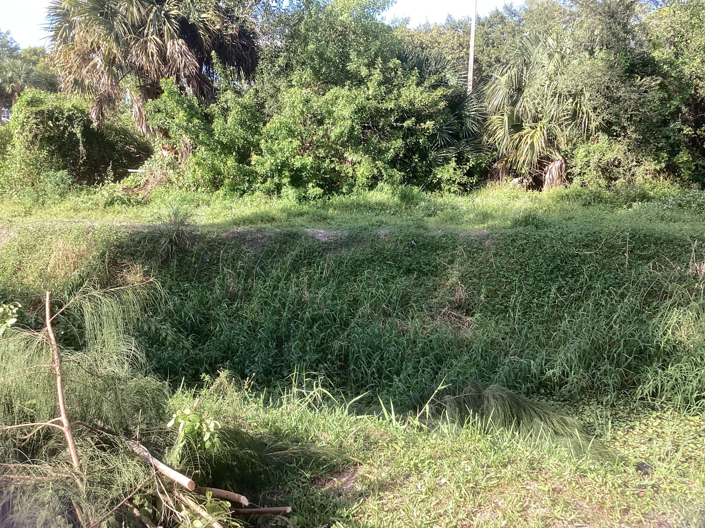 MLS #RX-11140382 image #4