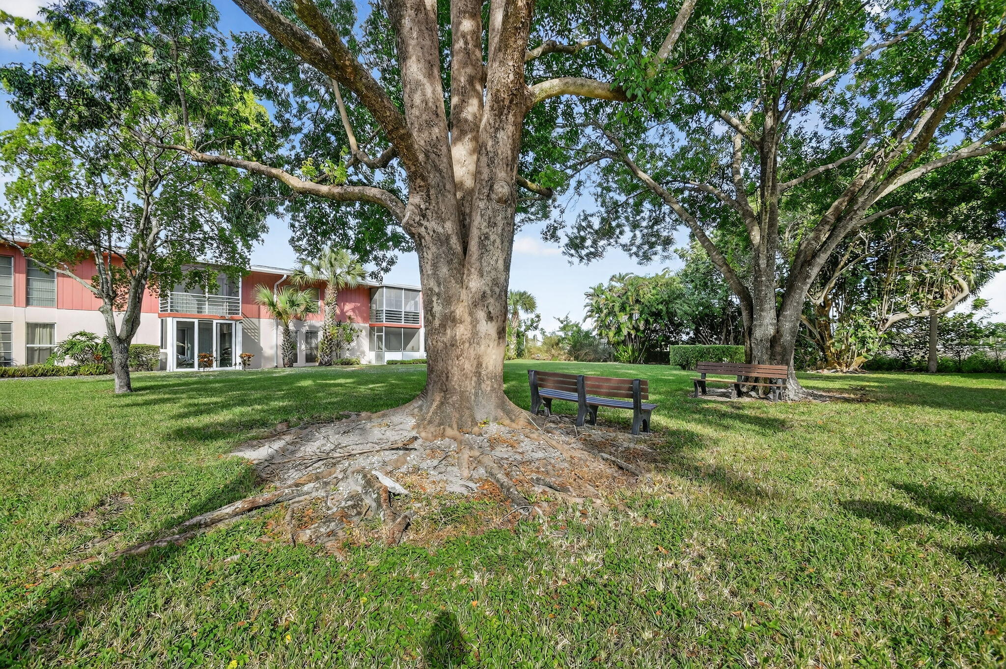 MLS #RX-11140394 image #12