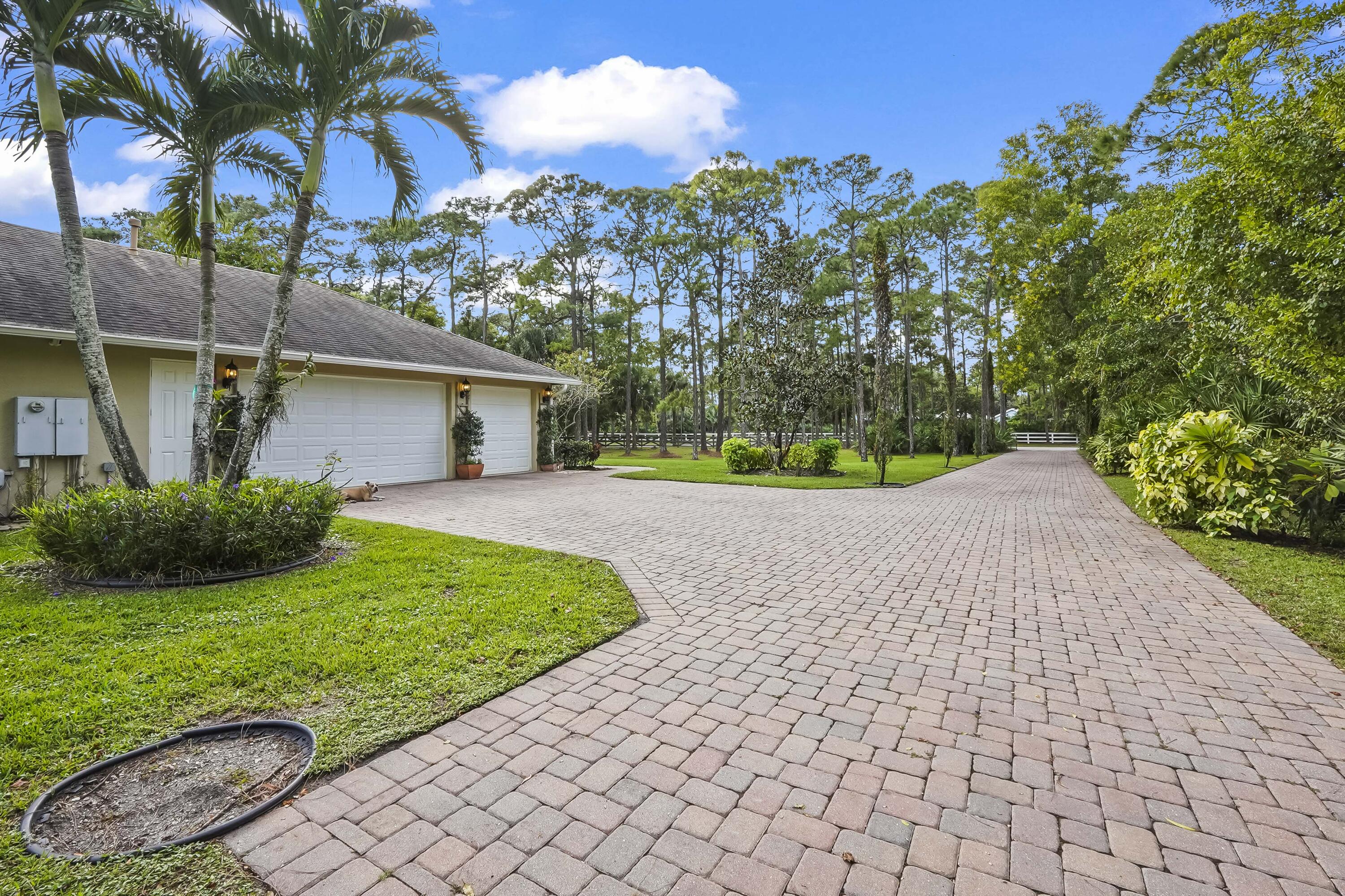 MLS #RX-11140458 image #6