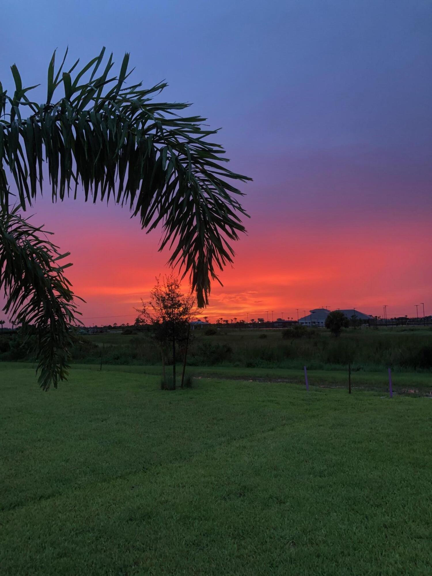 MLS #RX-11140492 image #31