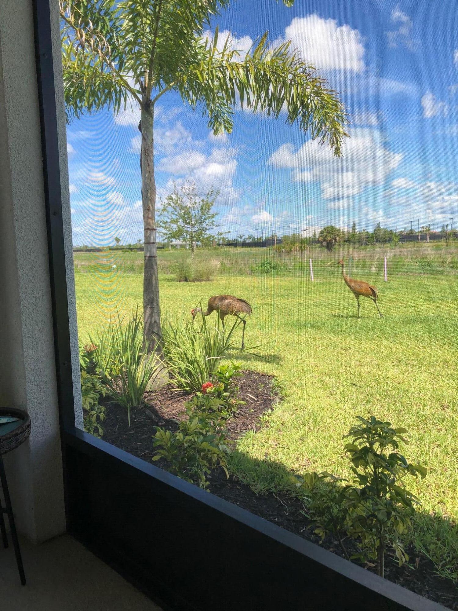 MLS #RX-11140492 image #32