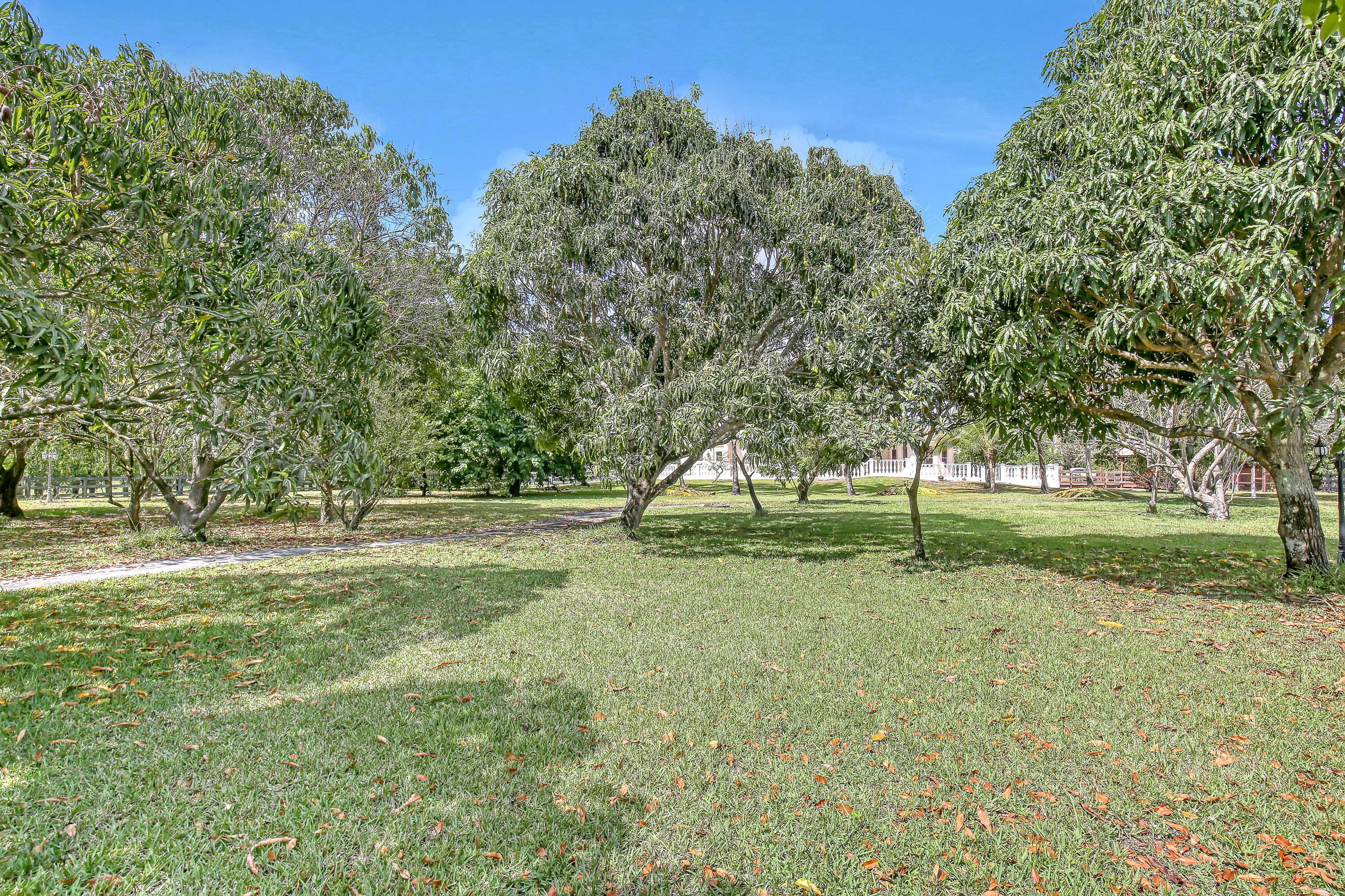 MLS #RX-11140511 image #52