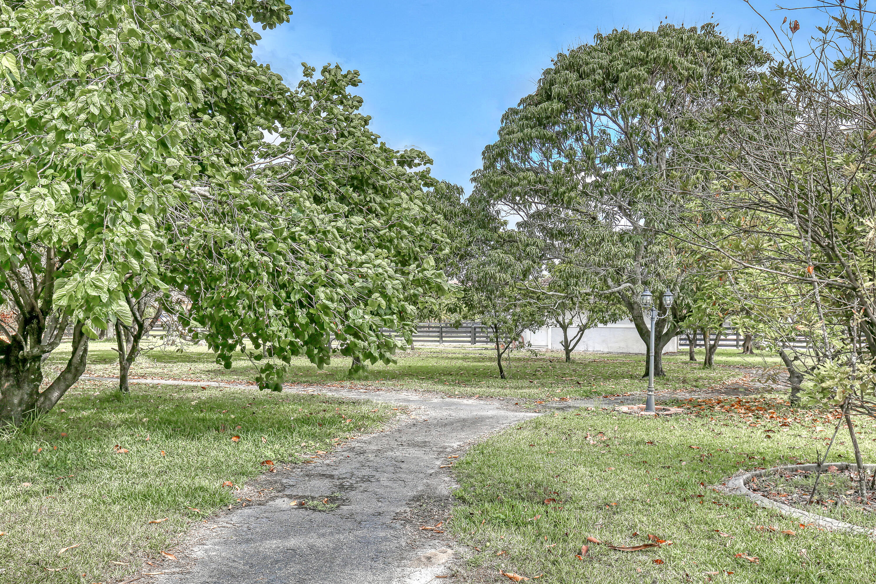 MLS #RX-11140511 image #53