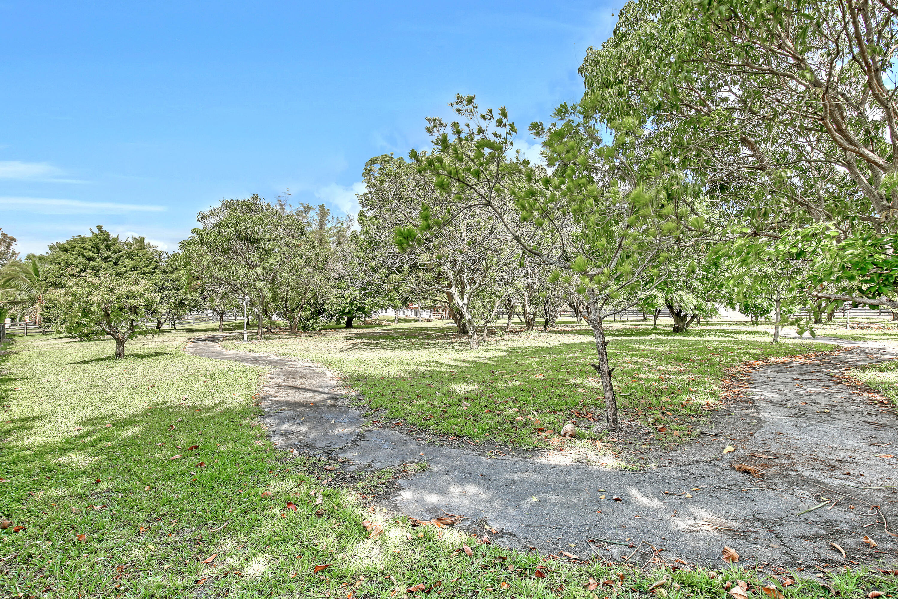 MLS #RX-11140511 image #54