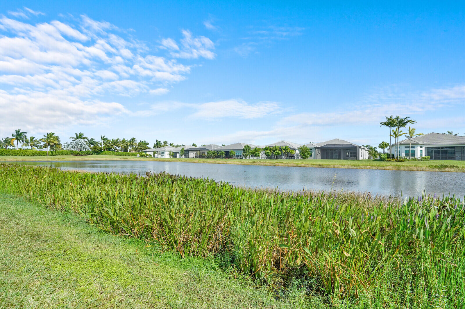 MLS #RX-11140634 image #51