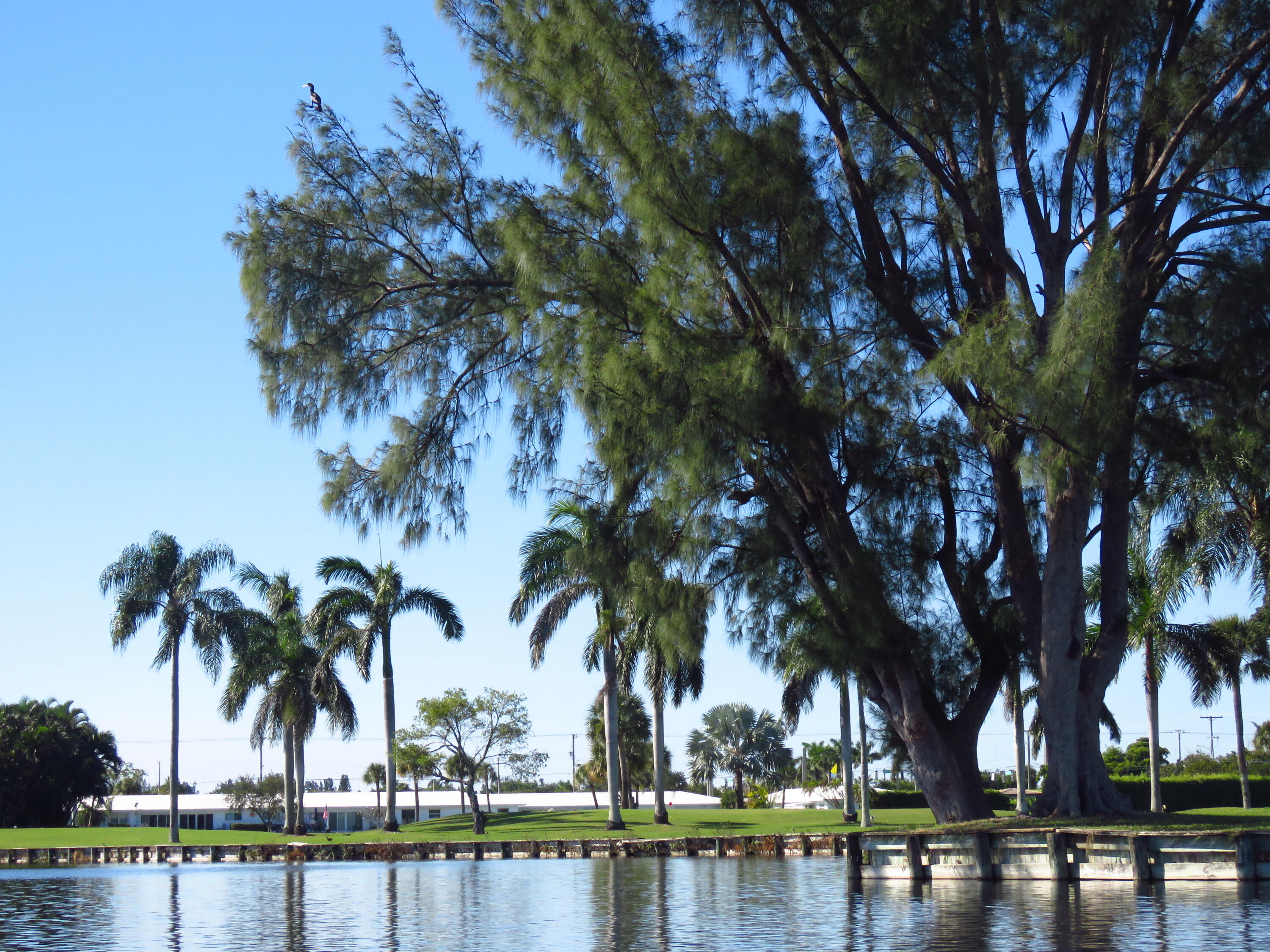 MLS #RX-11140726 image #35