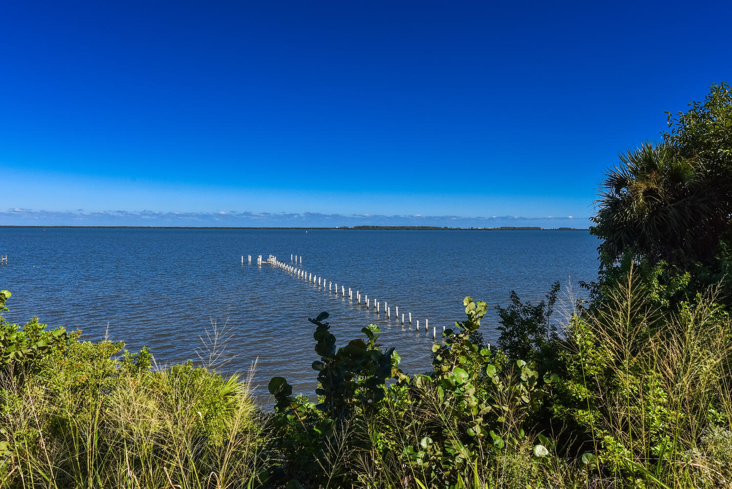 MLS #RX-10742684 image #51