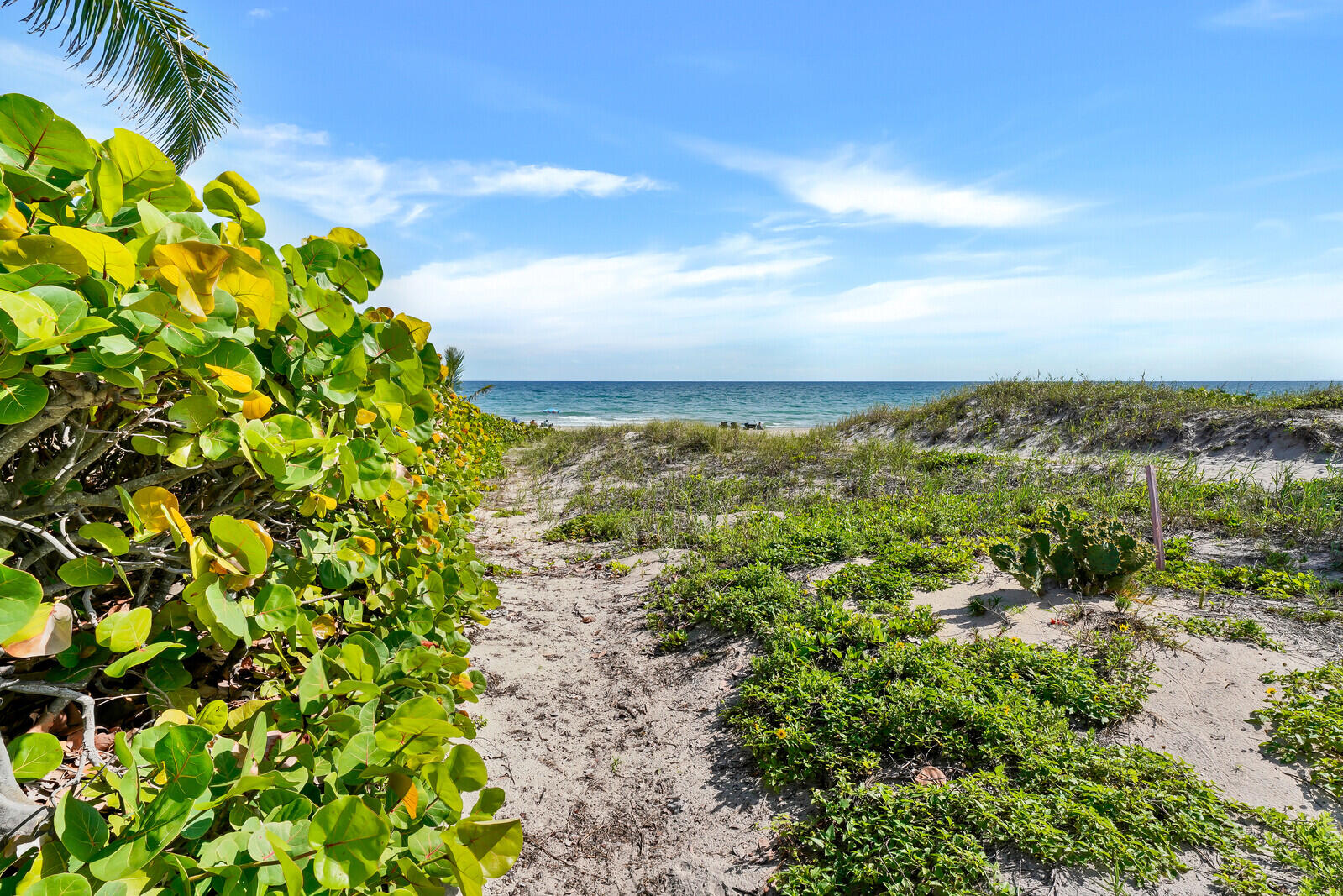 MLS #RX-11140865 image #28