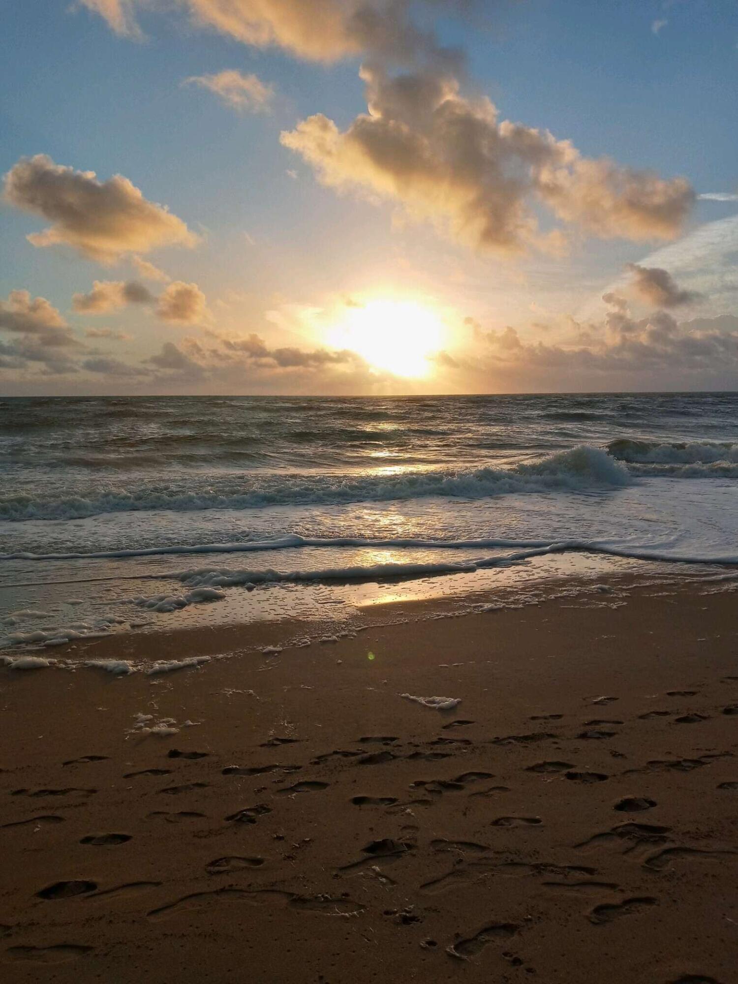 MLS #RX-11141047 image #33