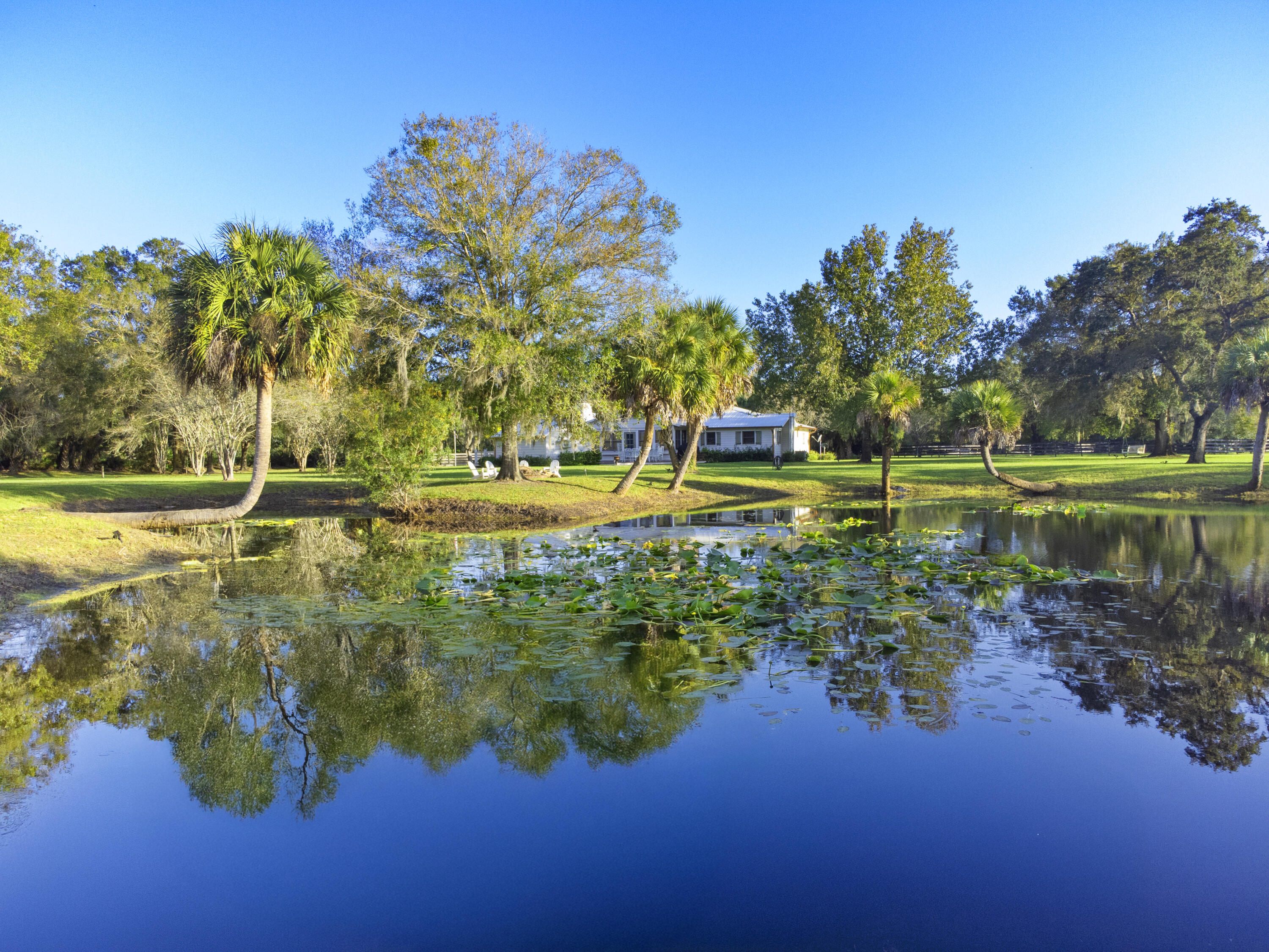 MLS #RX-11141081 image #59