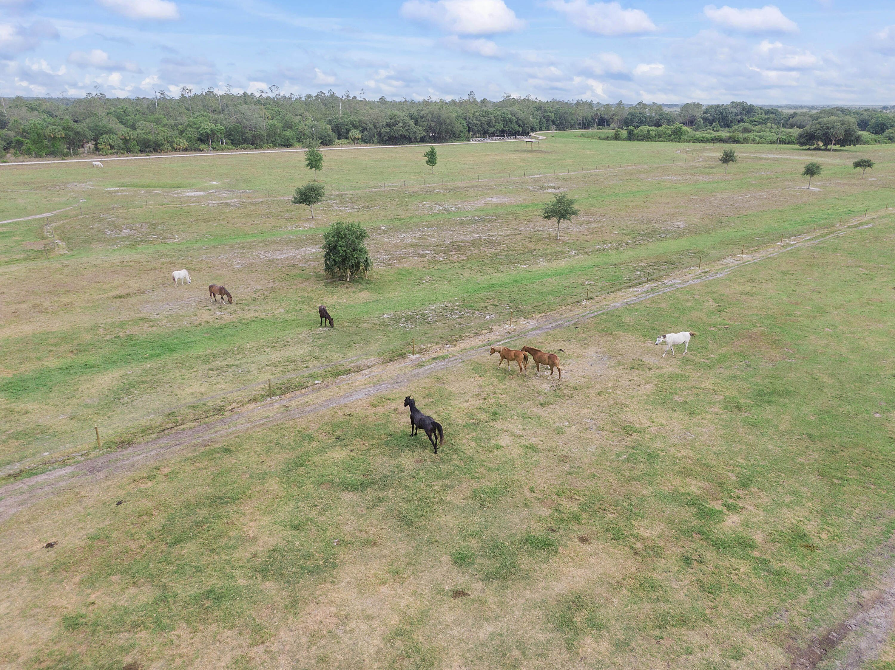 MLS #RX-11141081 image #83