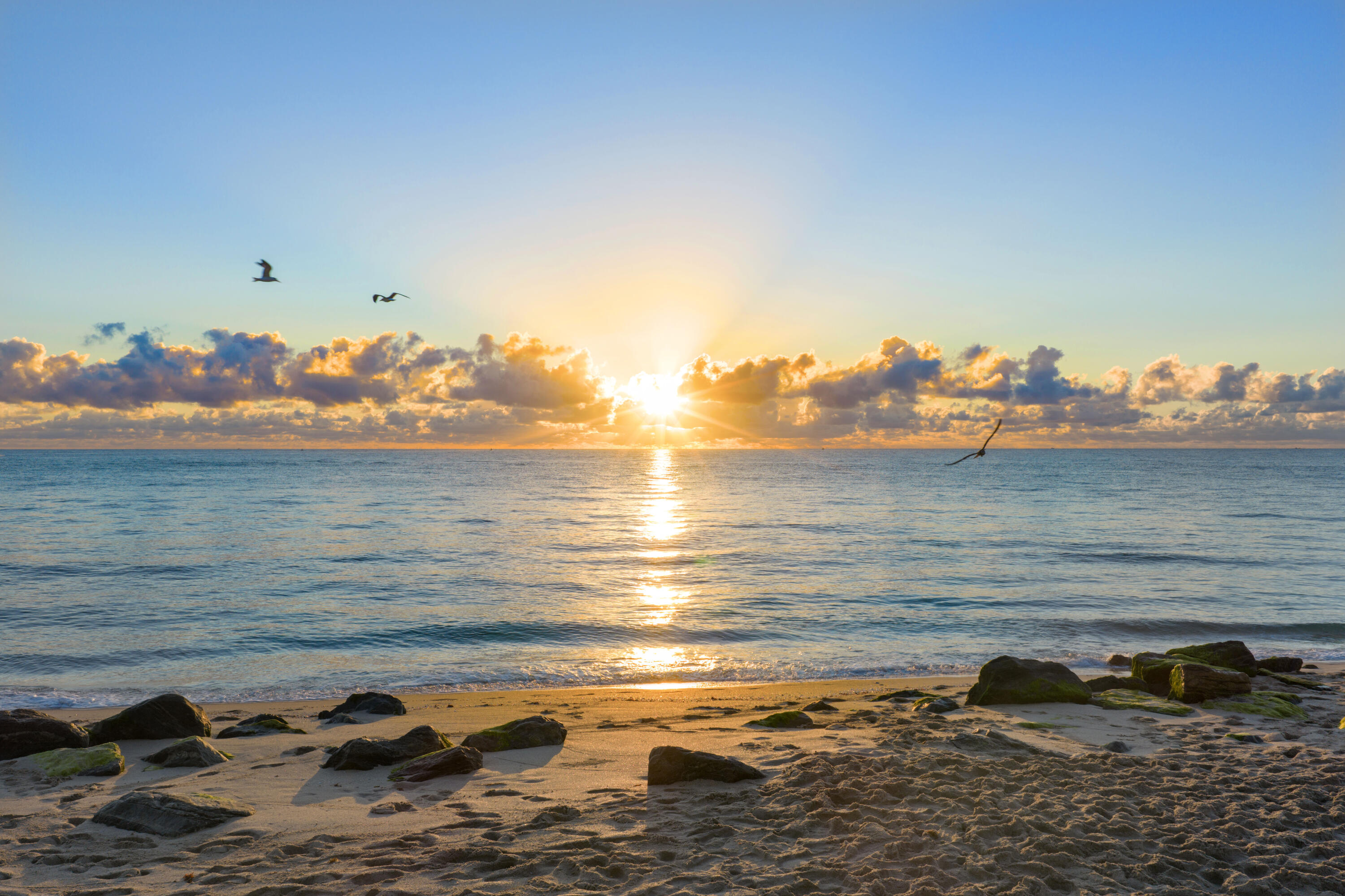 MLS #RX-11141243 image #113