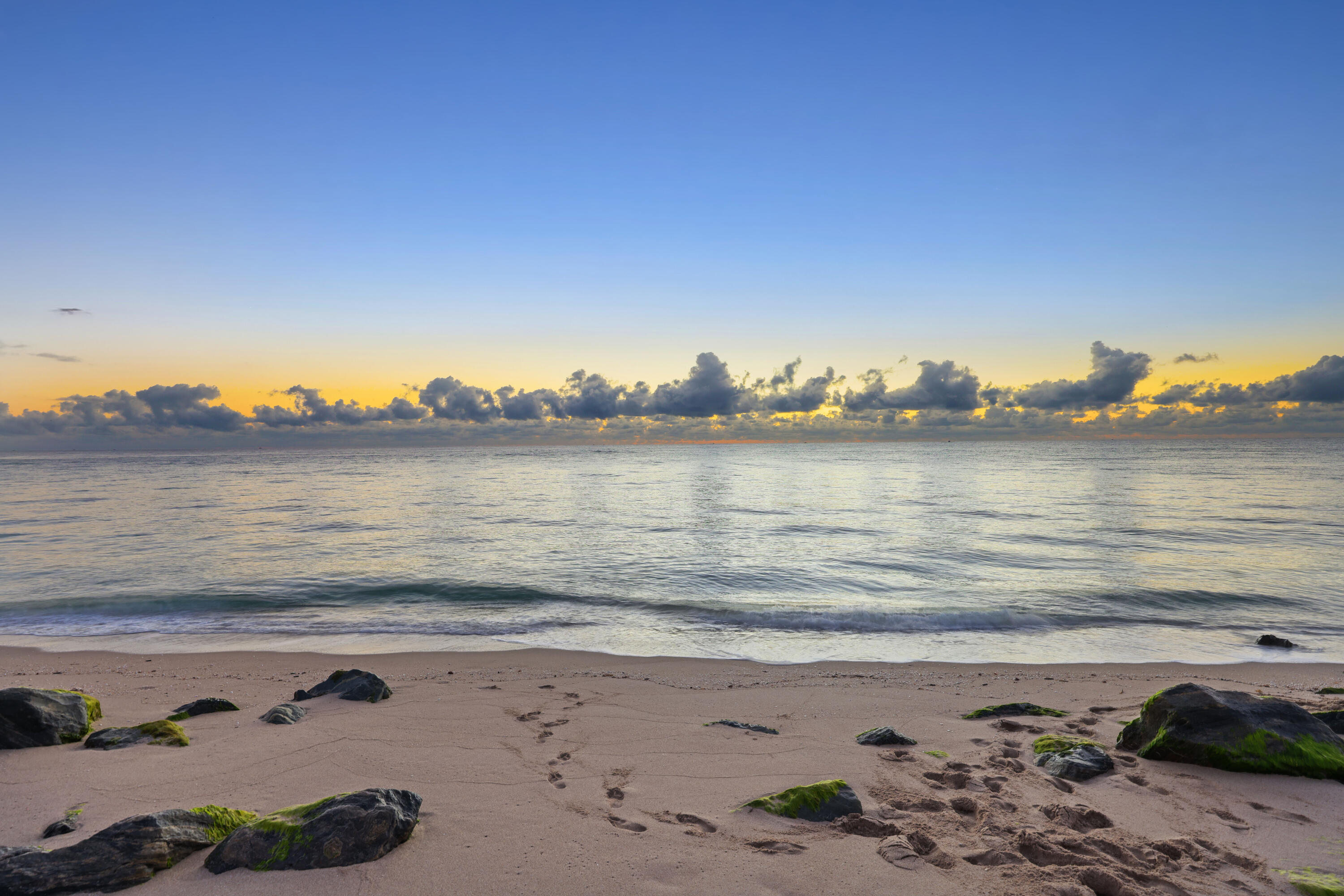 MLS #RX-11141243 image #118