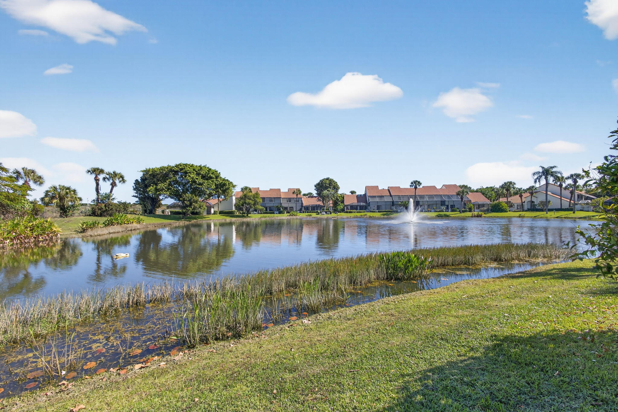 MLS #RX-11141501 image #29