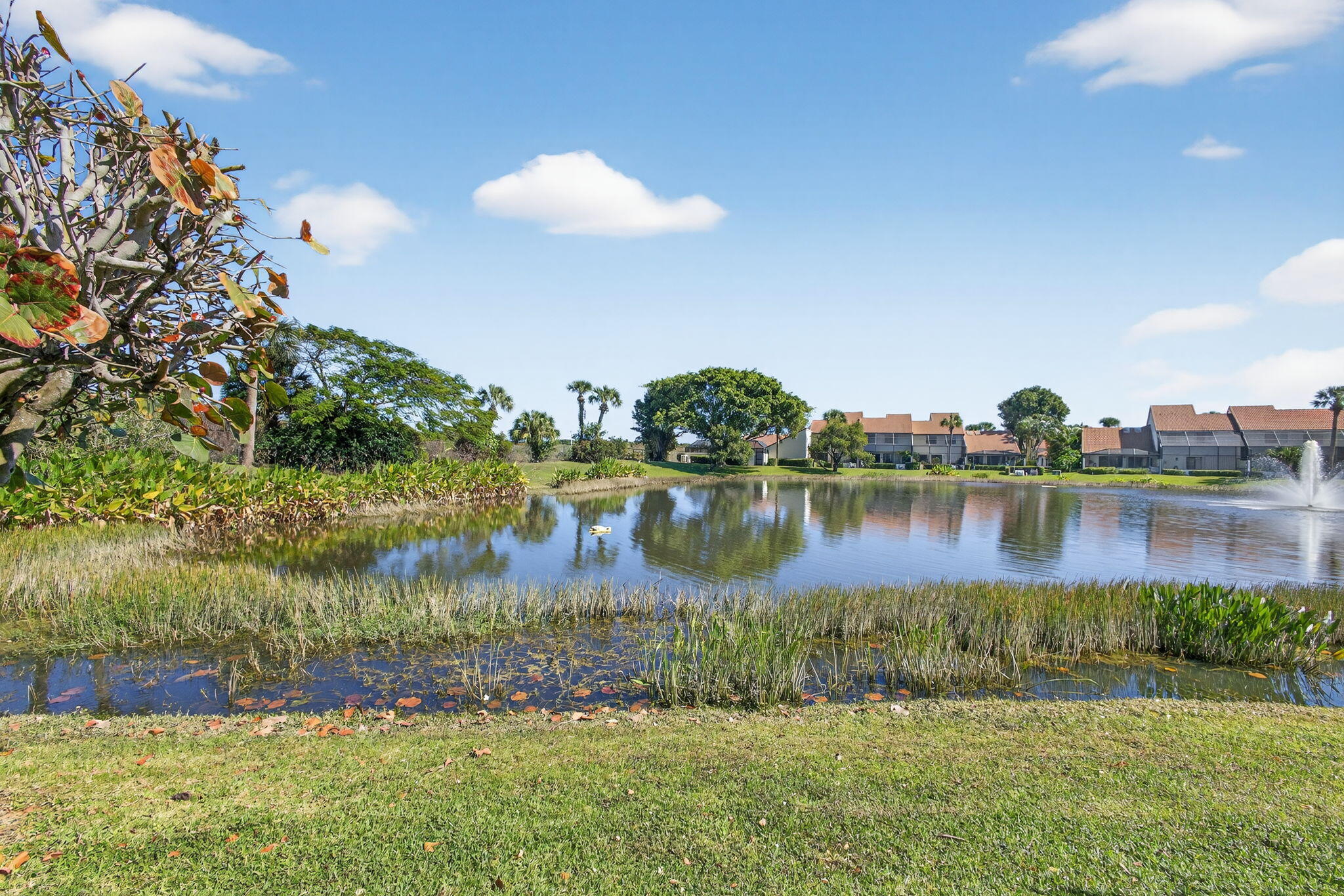 MLS #RX-11141501 image #30