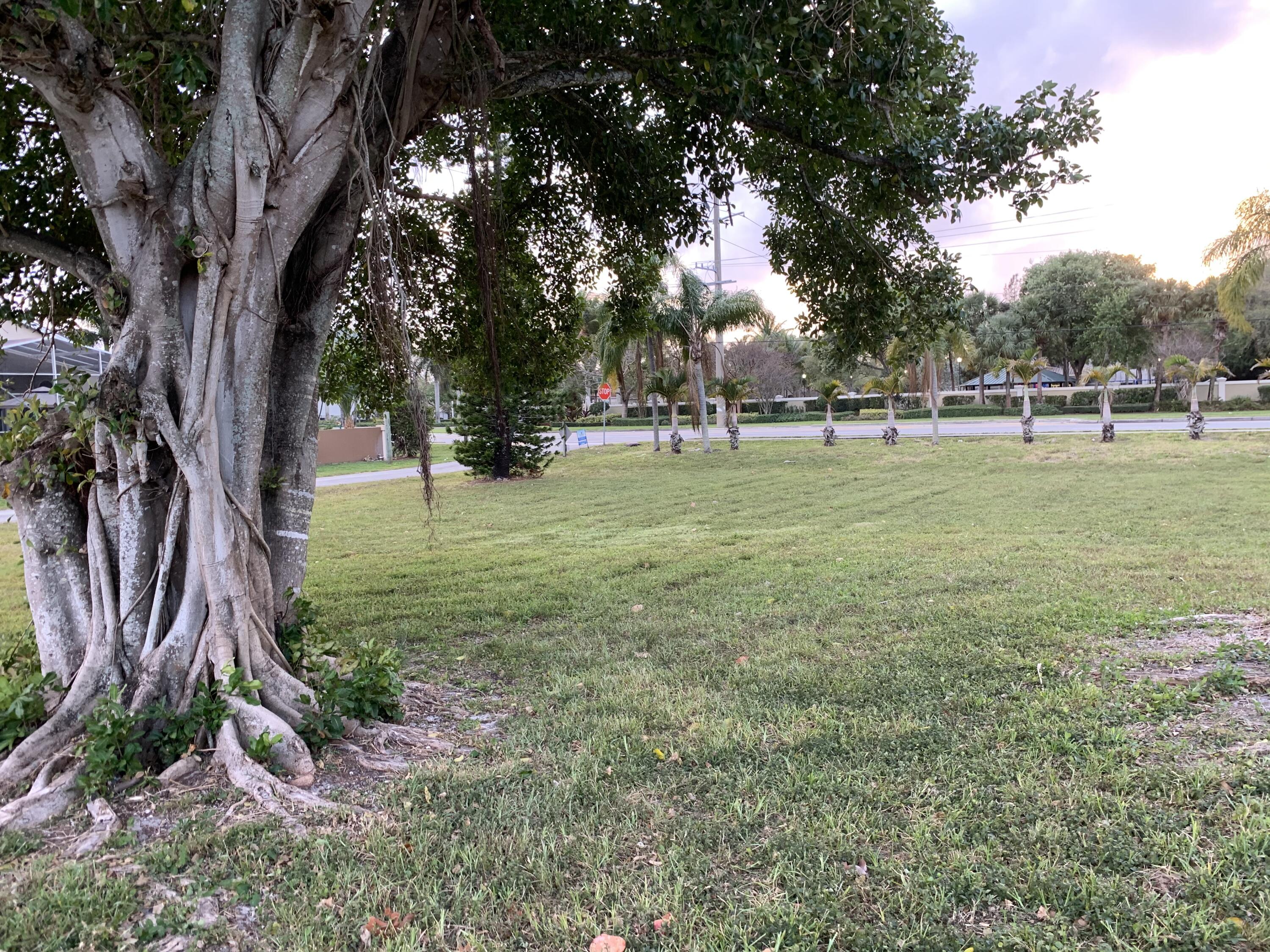 MLS #RX-11141603 image #2