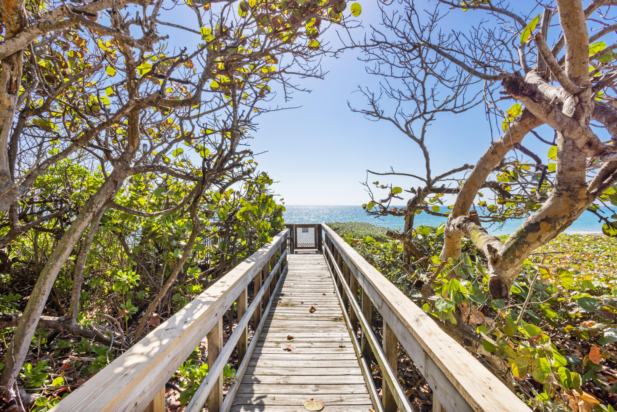 MLS #RX-10943038 image #3