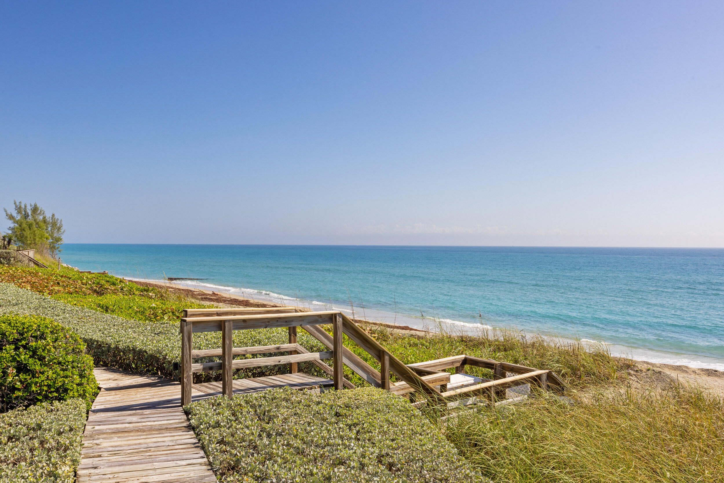 MLS #RX-10943038 image #4