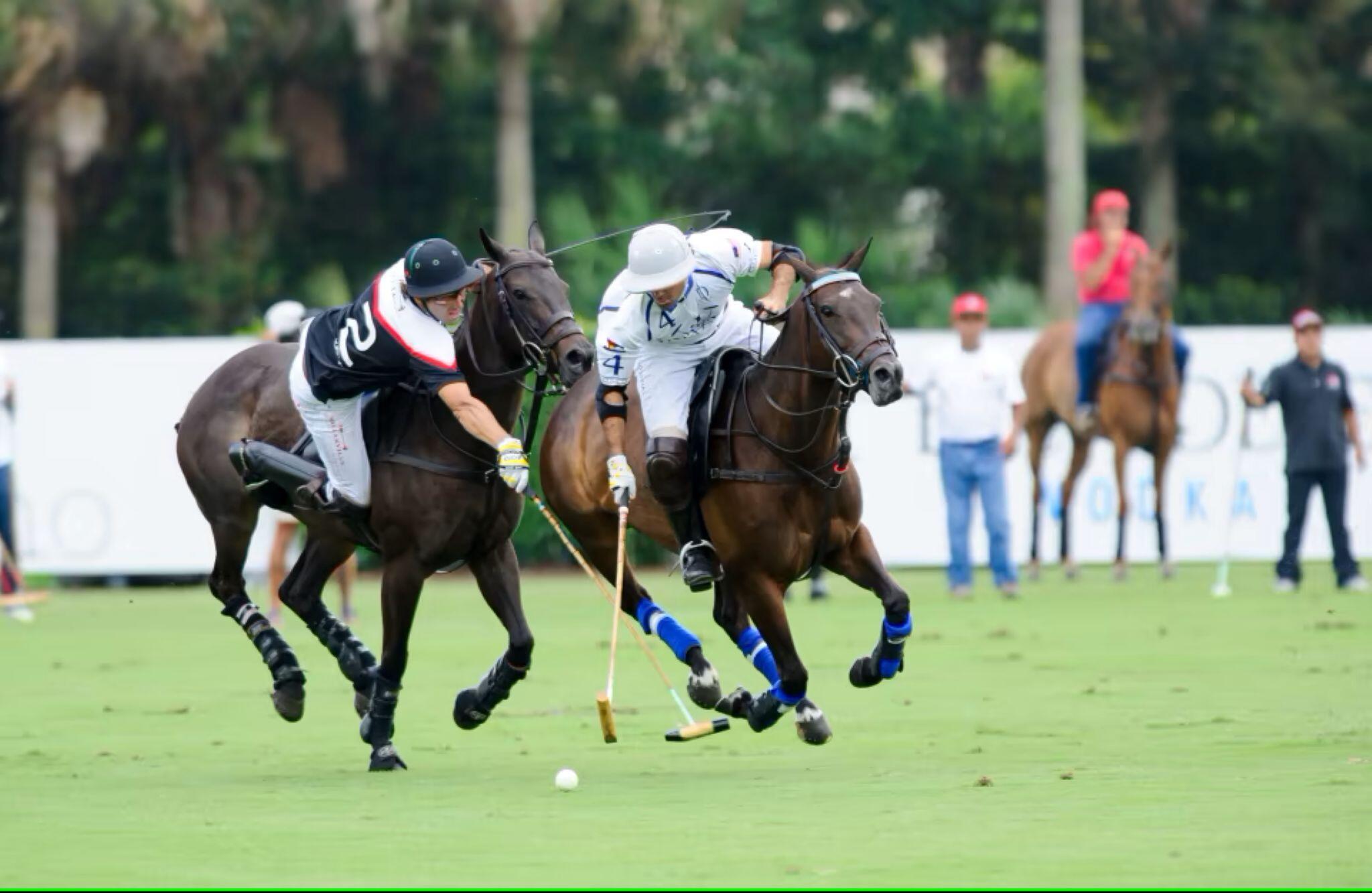 MLS #RX-11141791 image #34