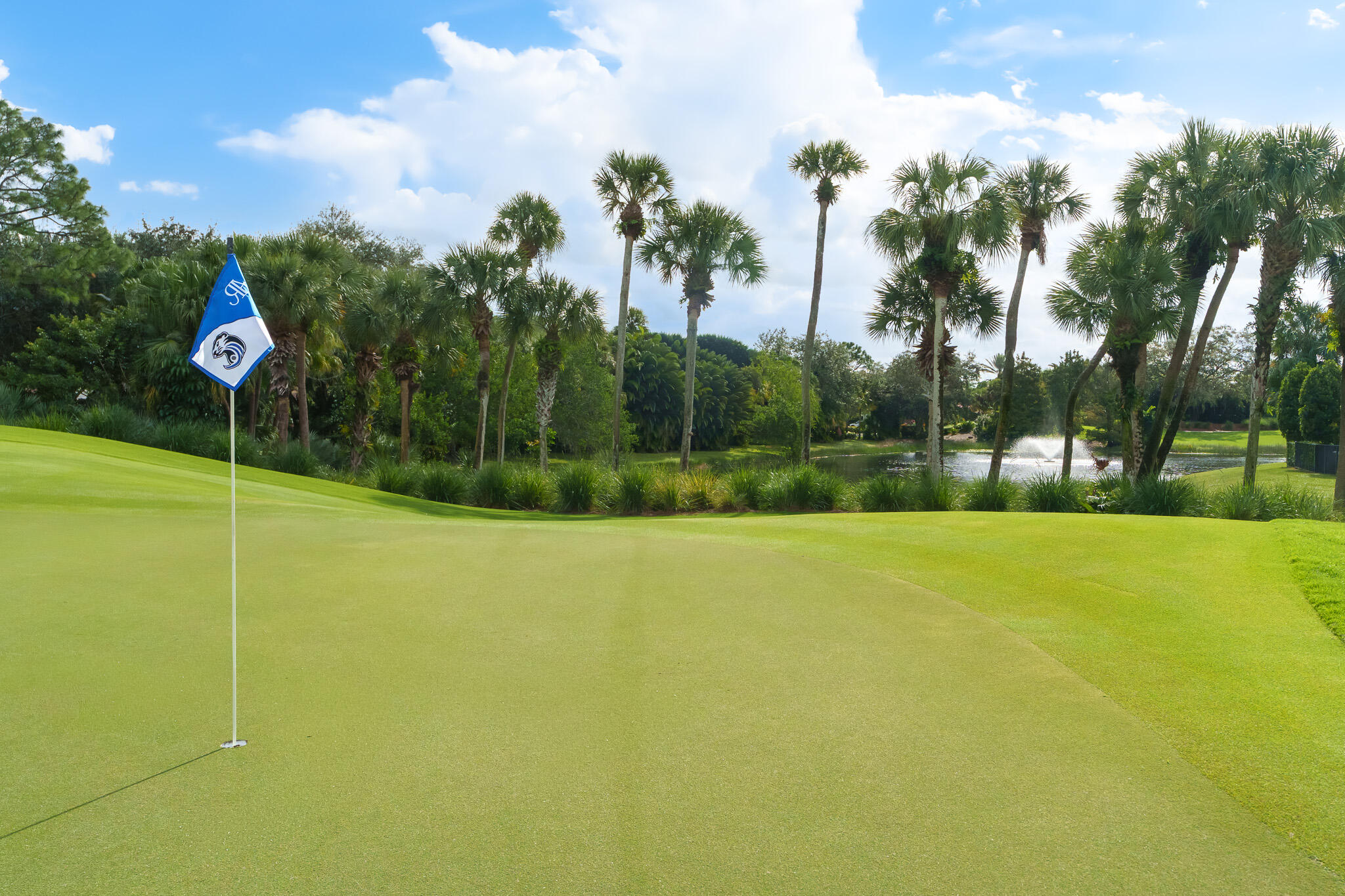 MLS #RX-11142056 image #37