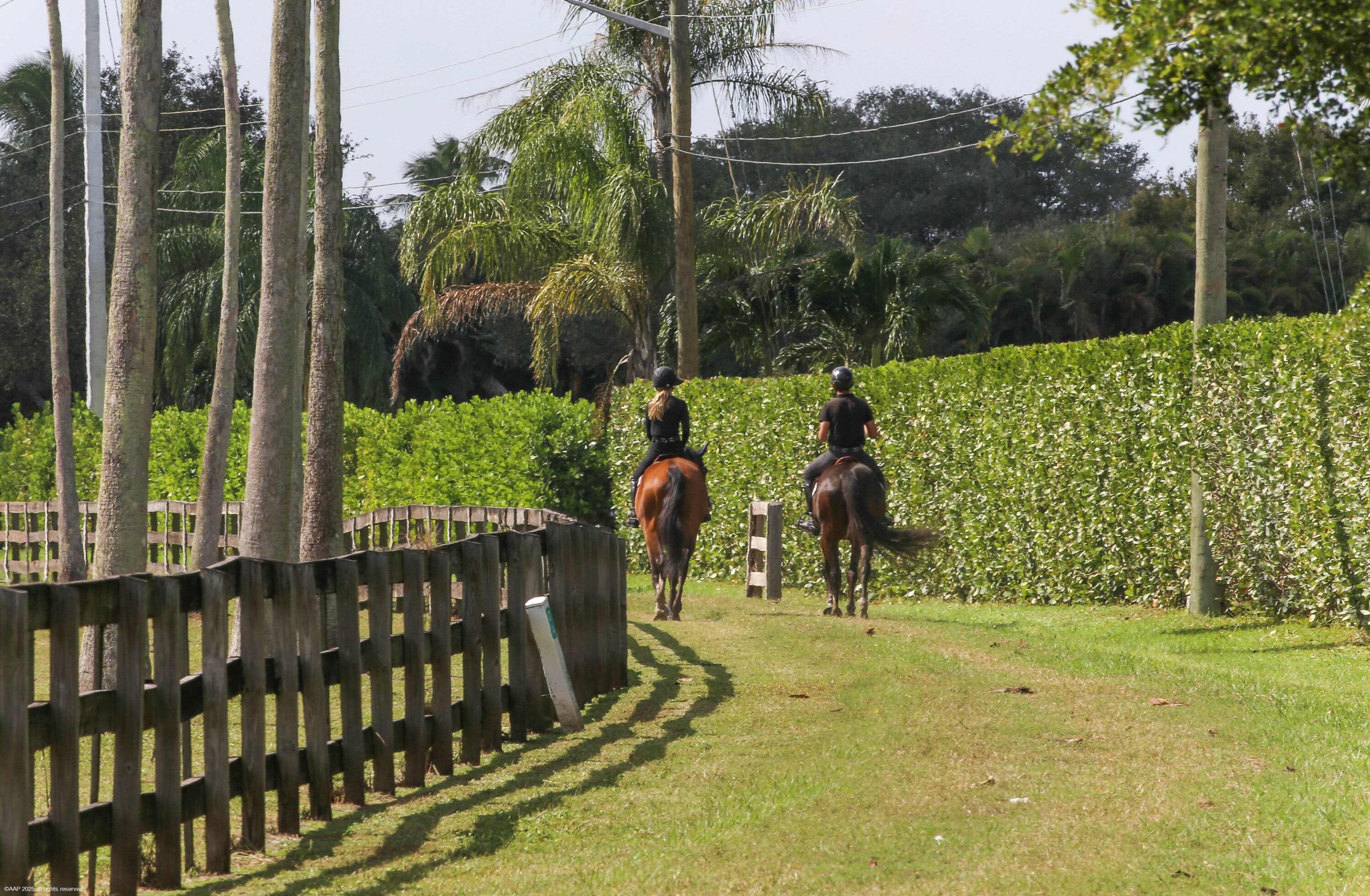 MLS #RX-11142125 image #9