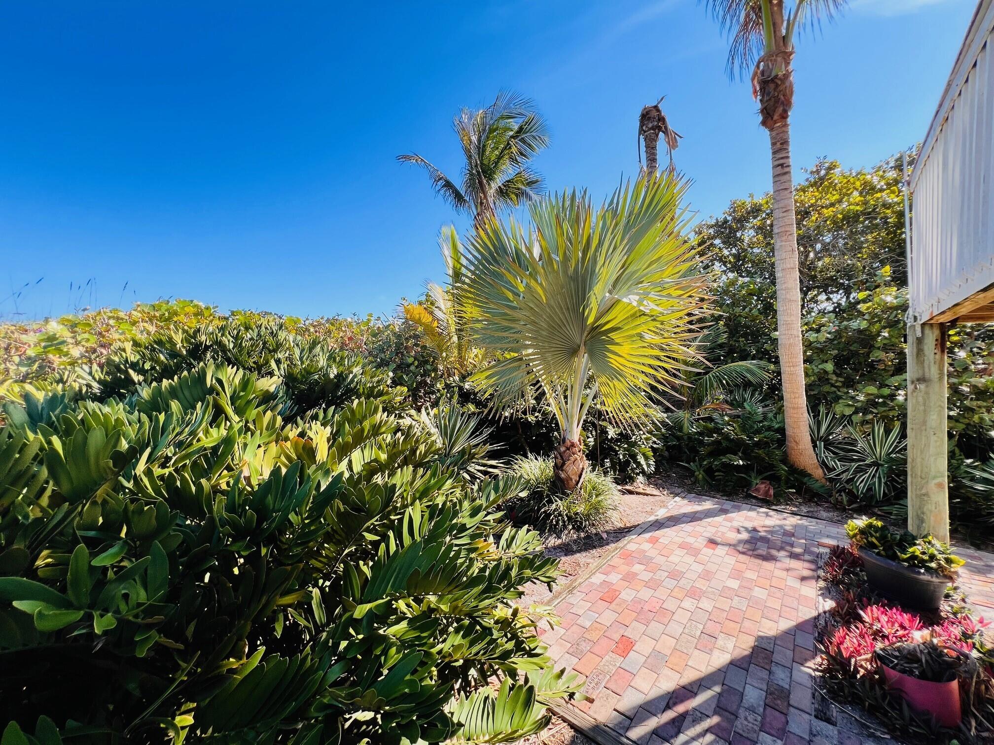 MLS #RX-11142158 image #12