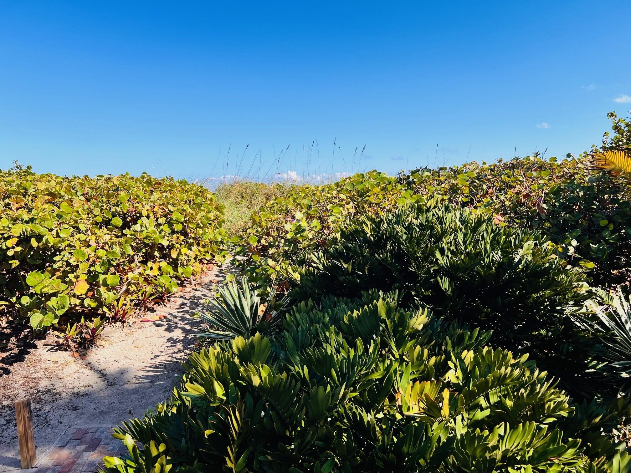 MLS #RX-11142158 image #15