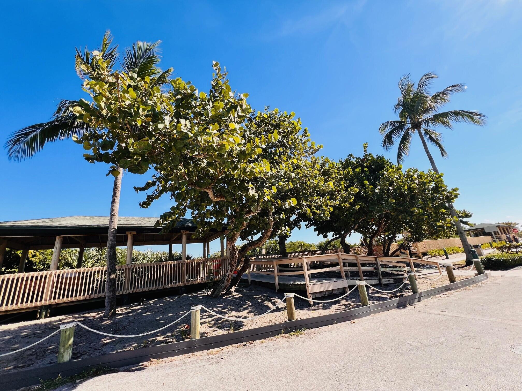 MLS #RX-11142158 image #28