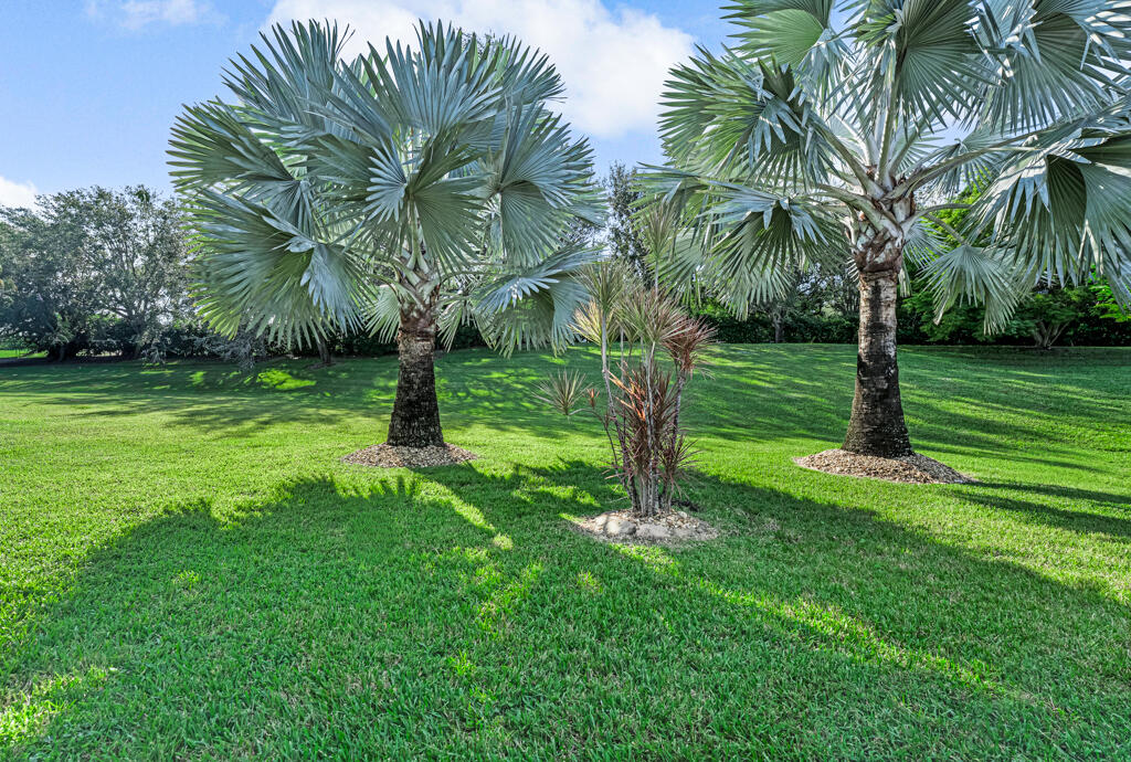 MLS #RX-11142214 image #11