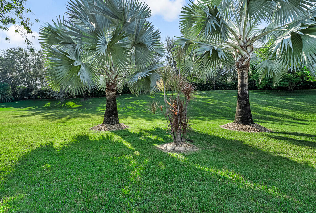 MLS #RX-11142214 image #6