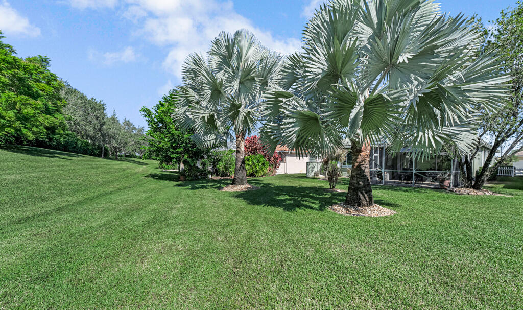 MLS #RX-11142214 image #9