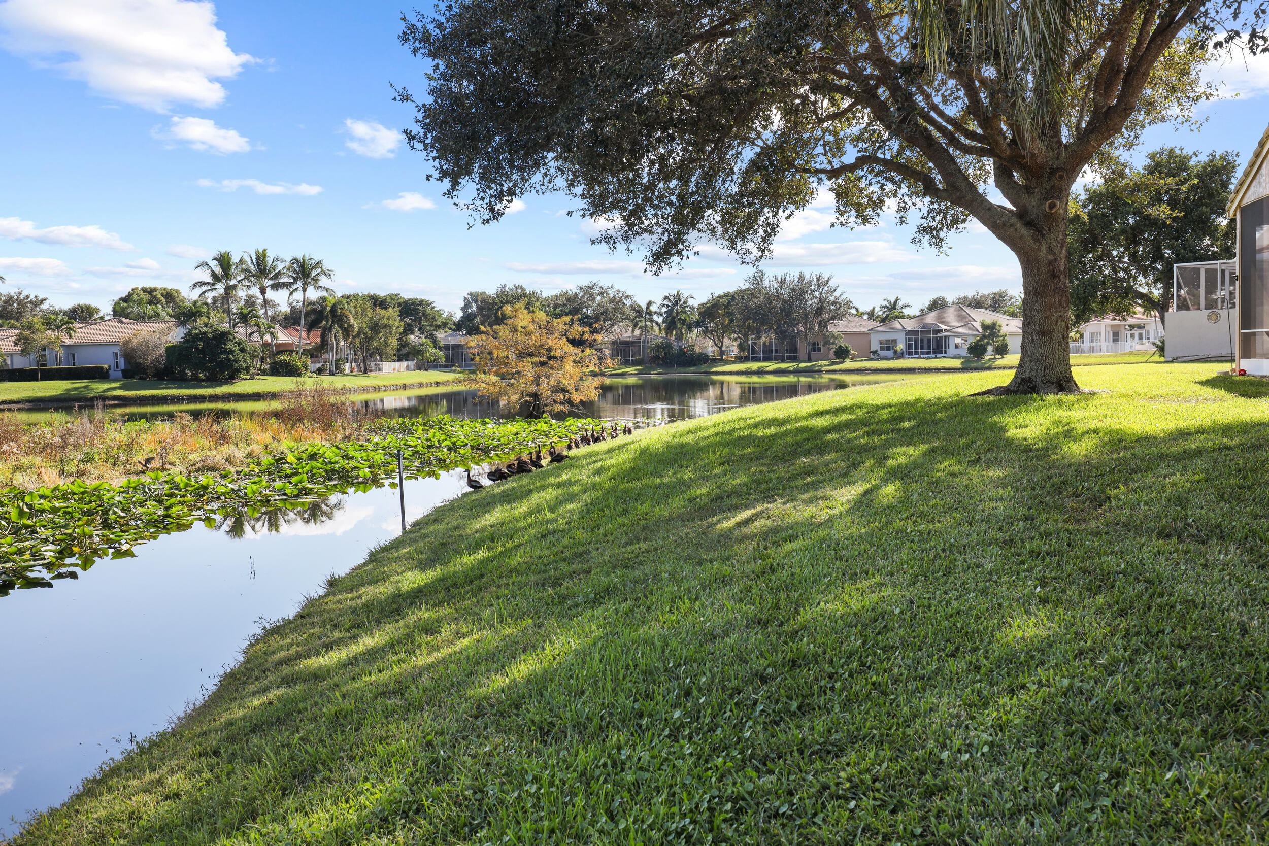 MLS #RX-11142244 image #32