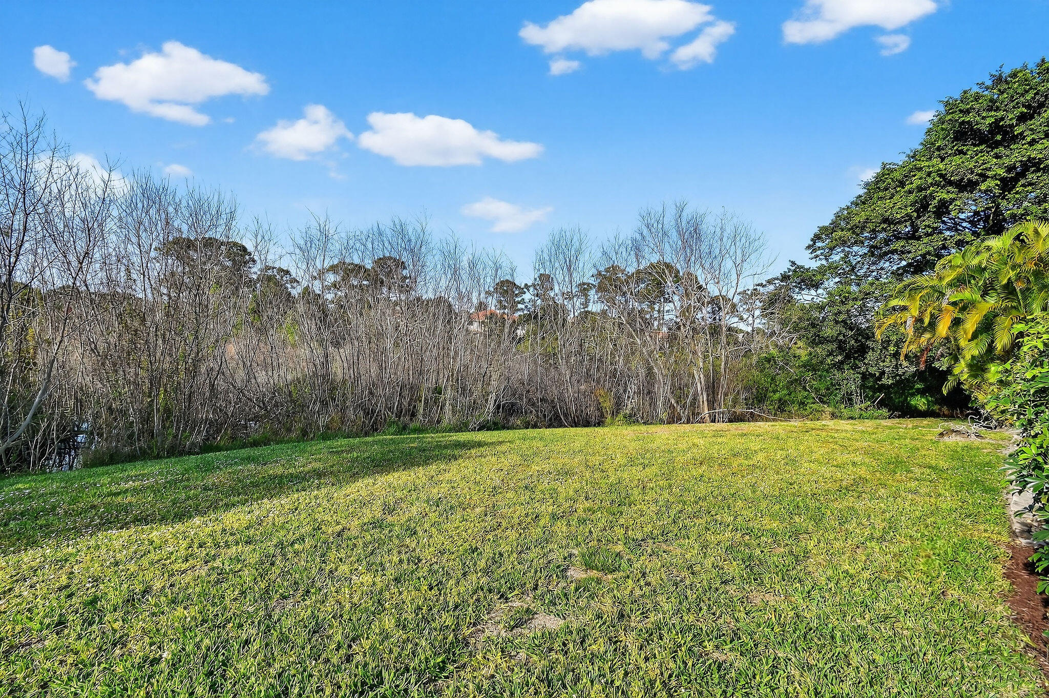 MLS #RX-11142297 image #59