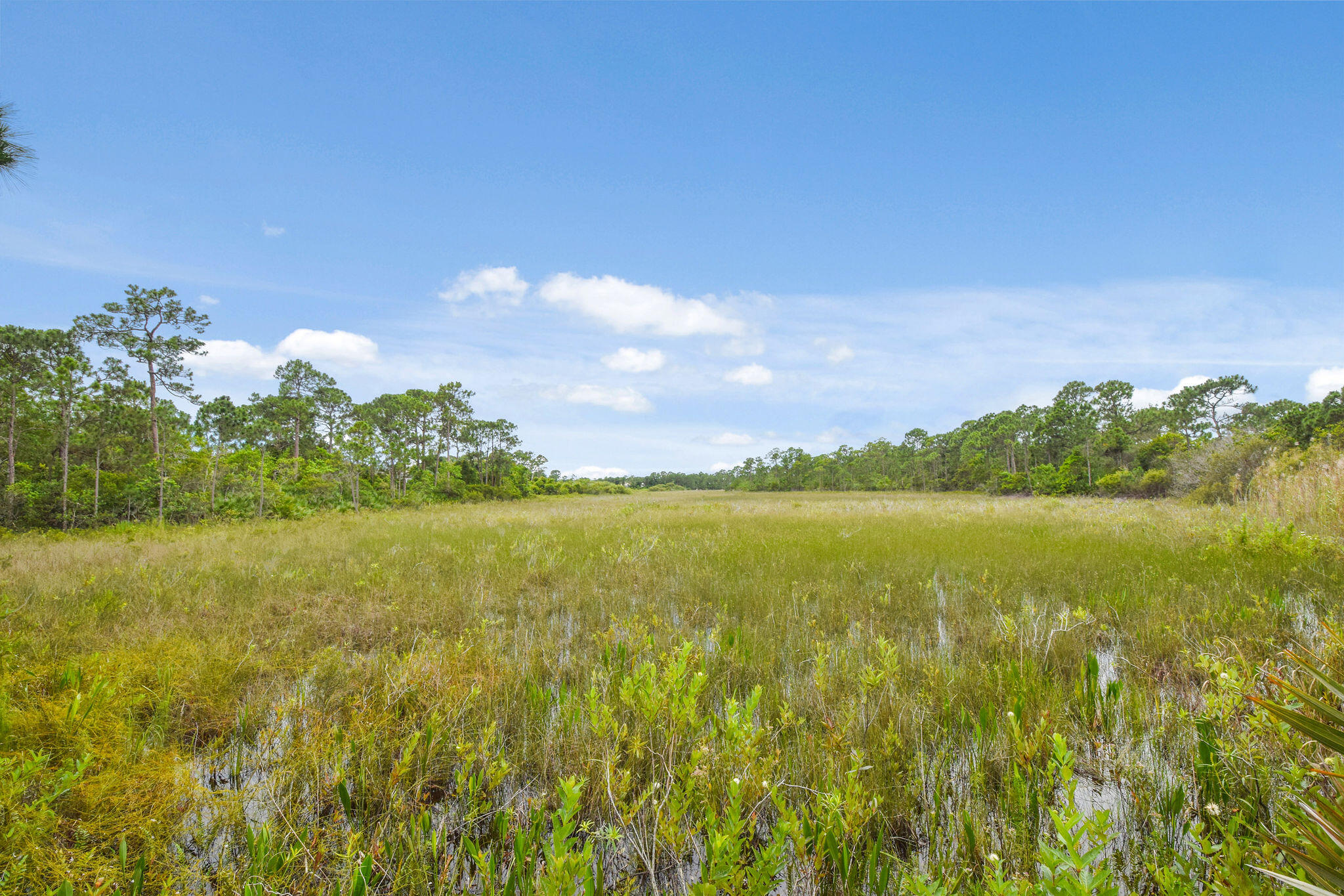 MLS #RX-11142297 image #67