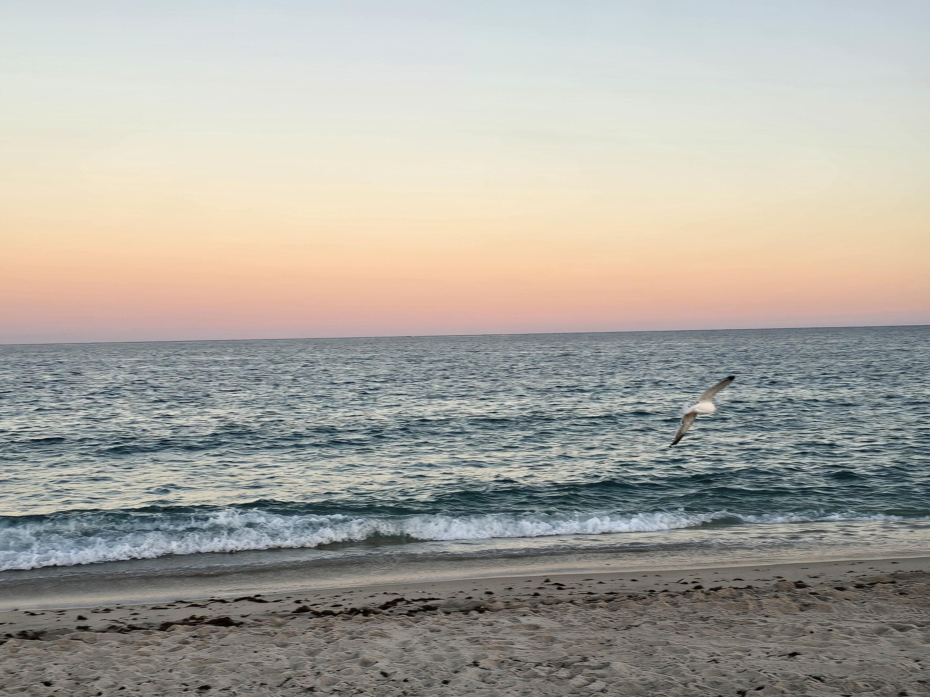 MLS #RX-11142330 image #35