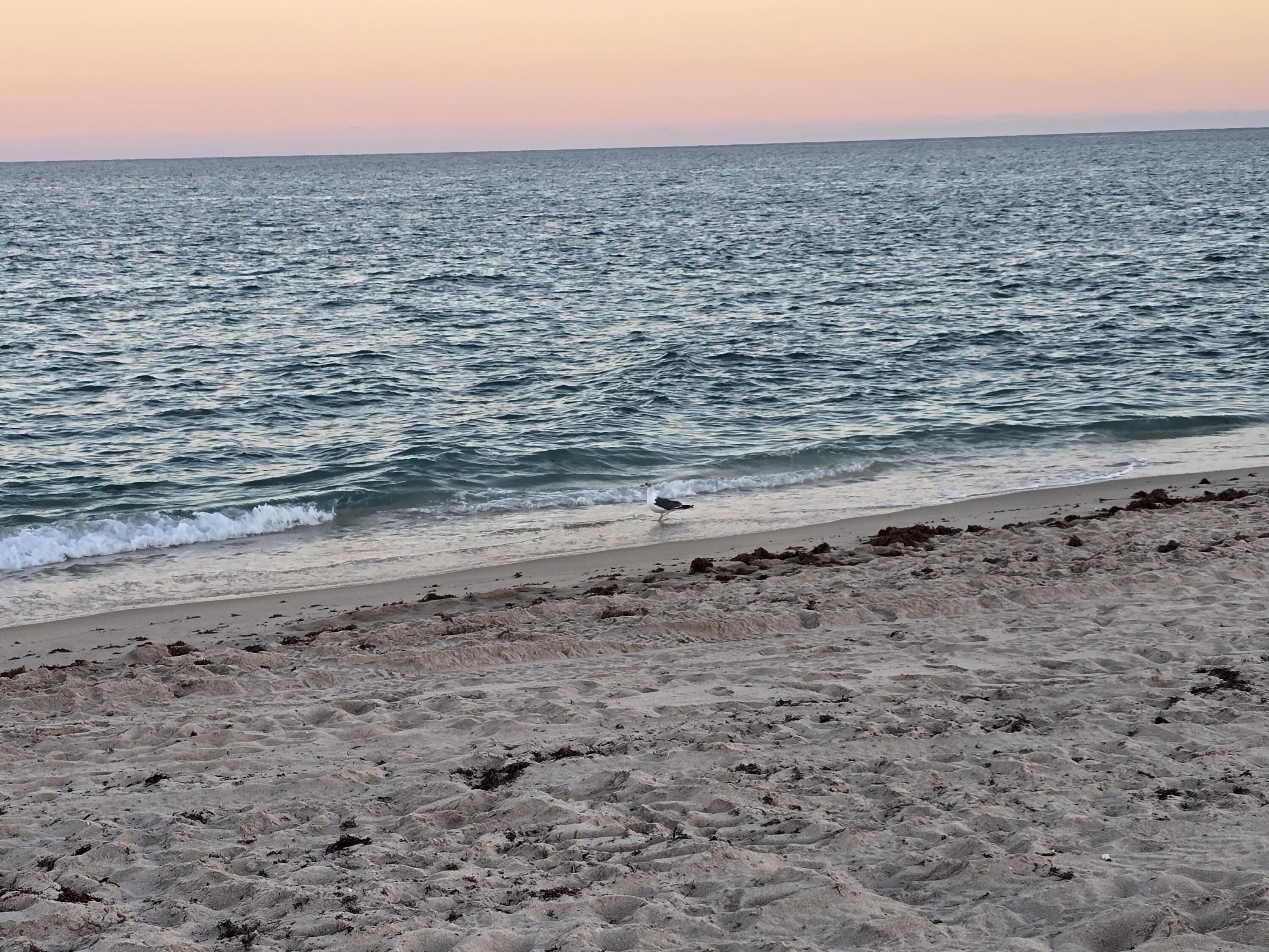 MLS #RX-11142330 image #36