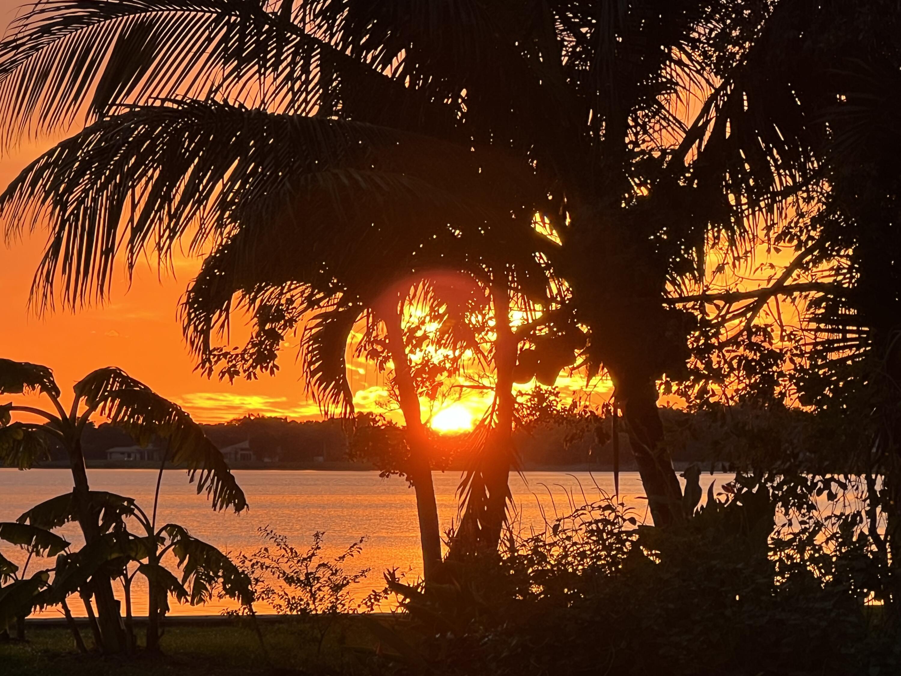 MLS #RX-11142364 image #80