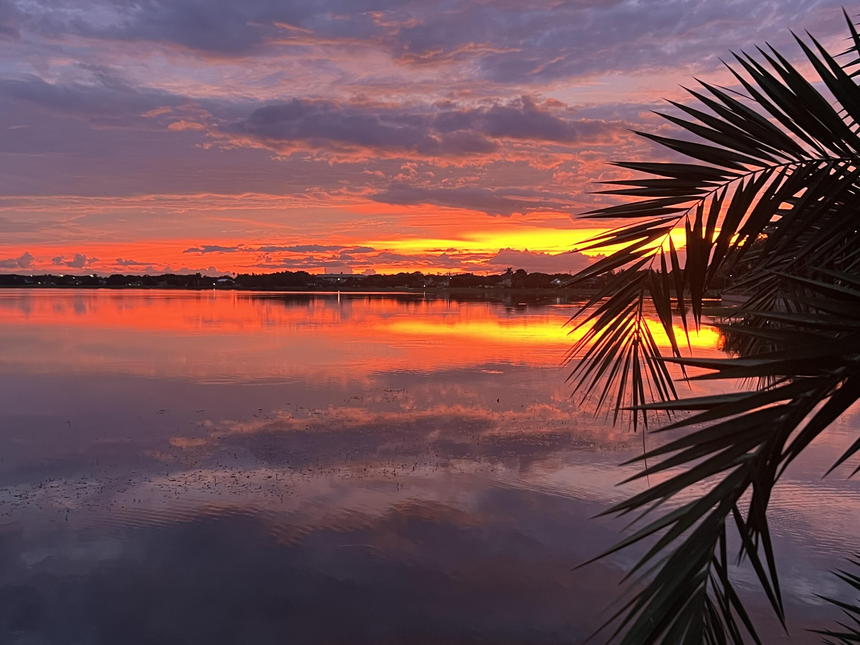 MLS #RX-11142364 image #81