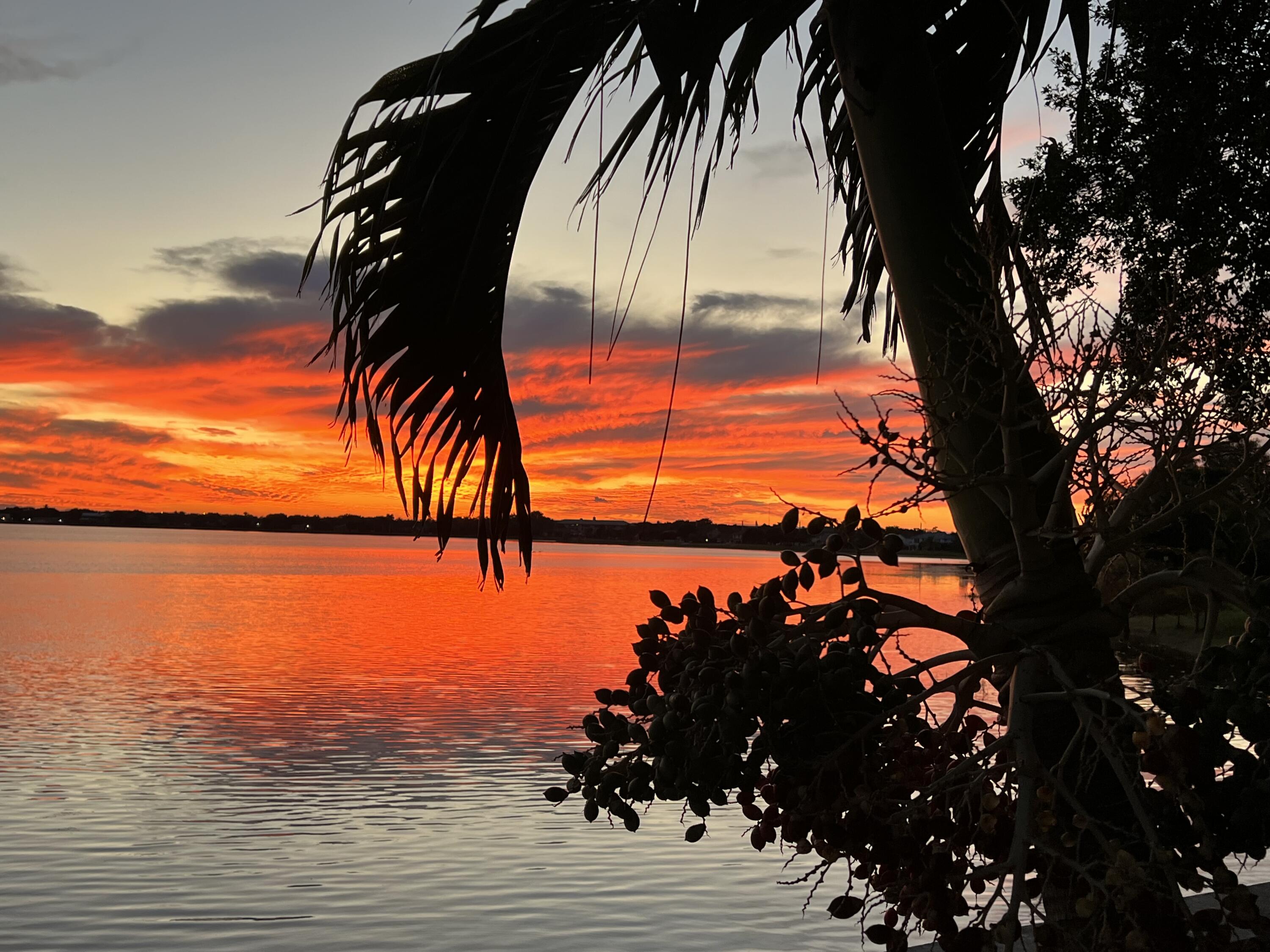 MLS #RX-11142364 image #82