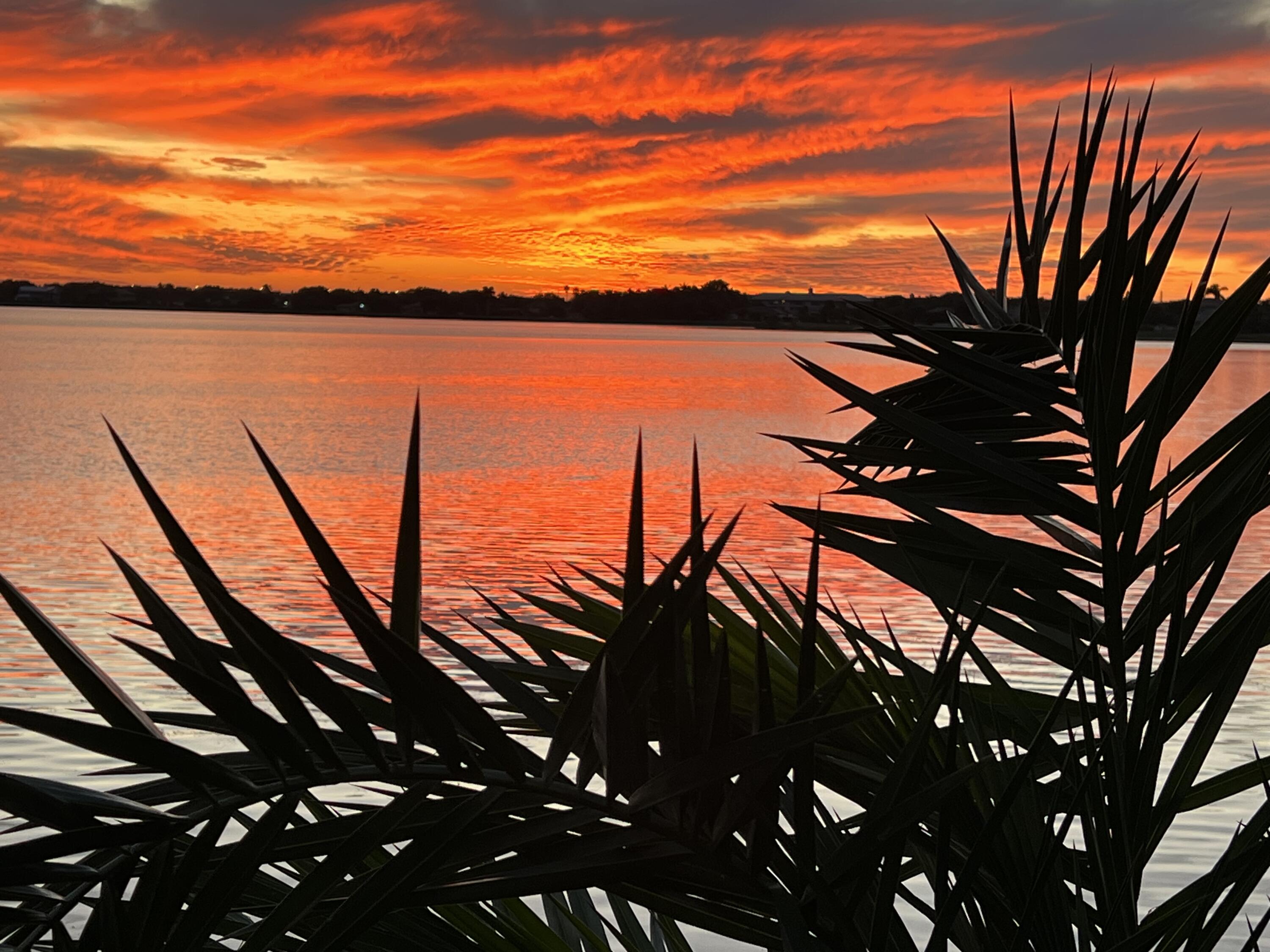 MLS #RX-11142364 image #83