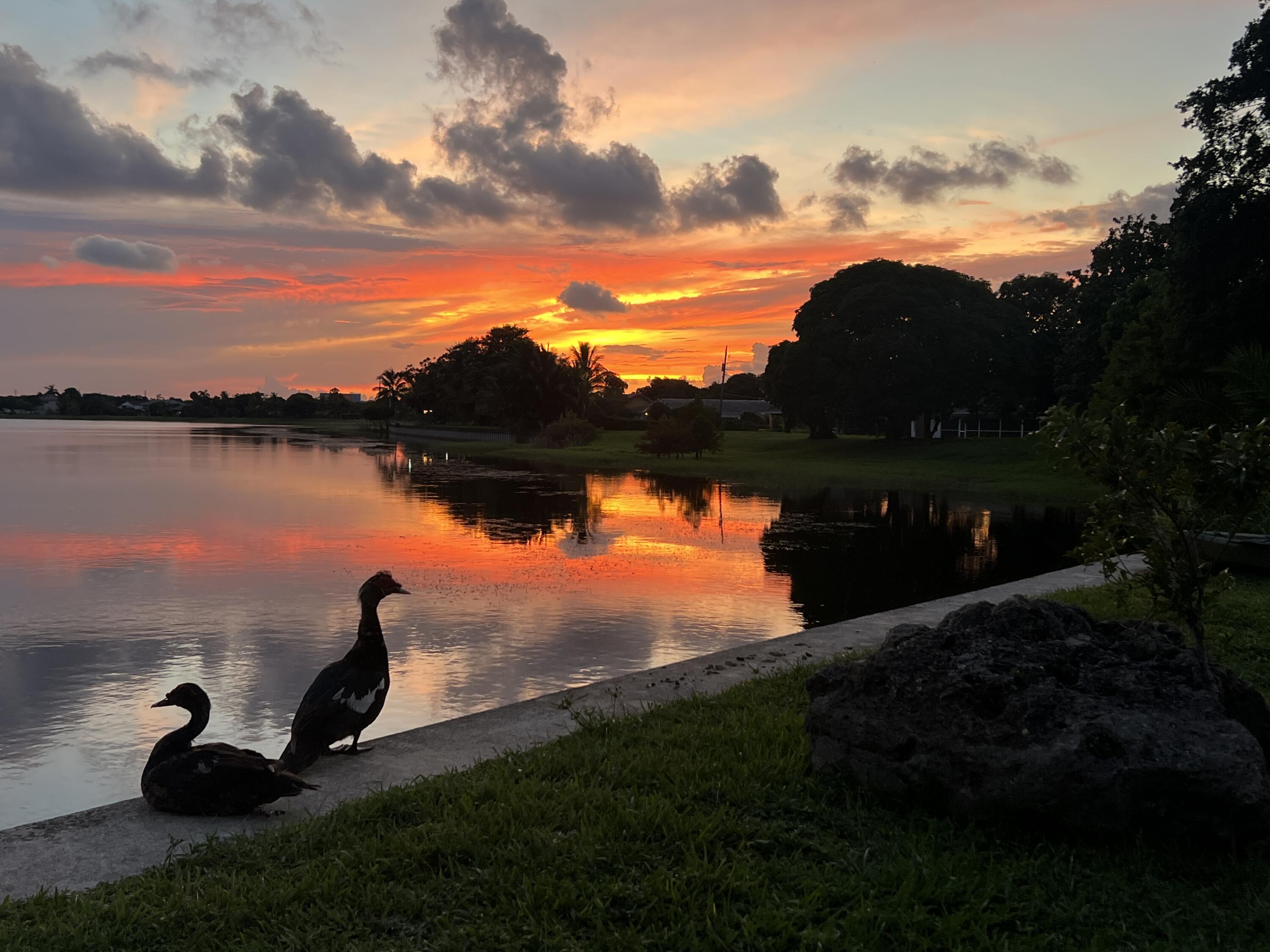 MLS #RX-11142364 image #84