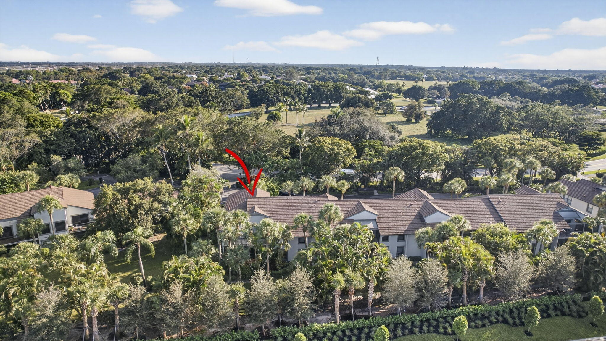 MLS #RX-10478819 image #53