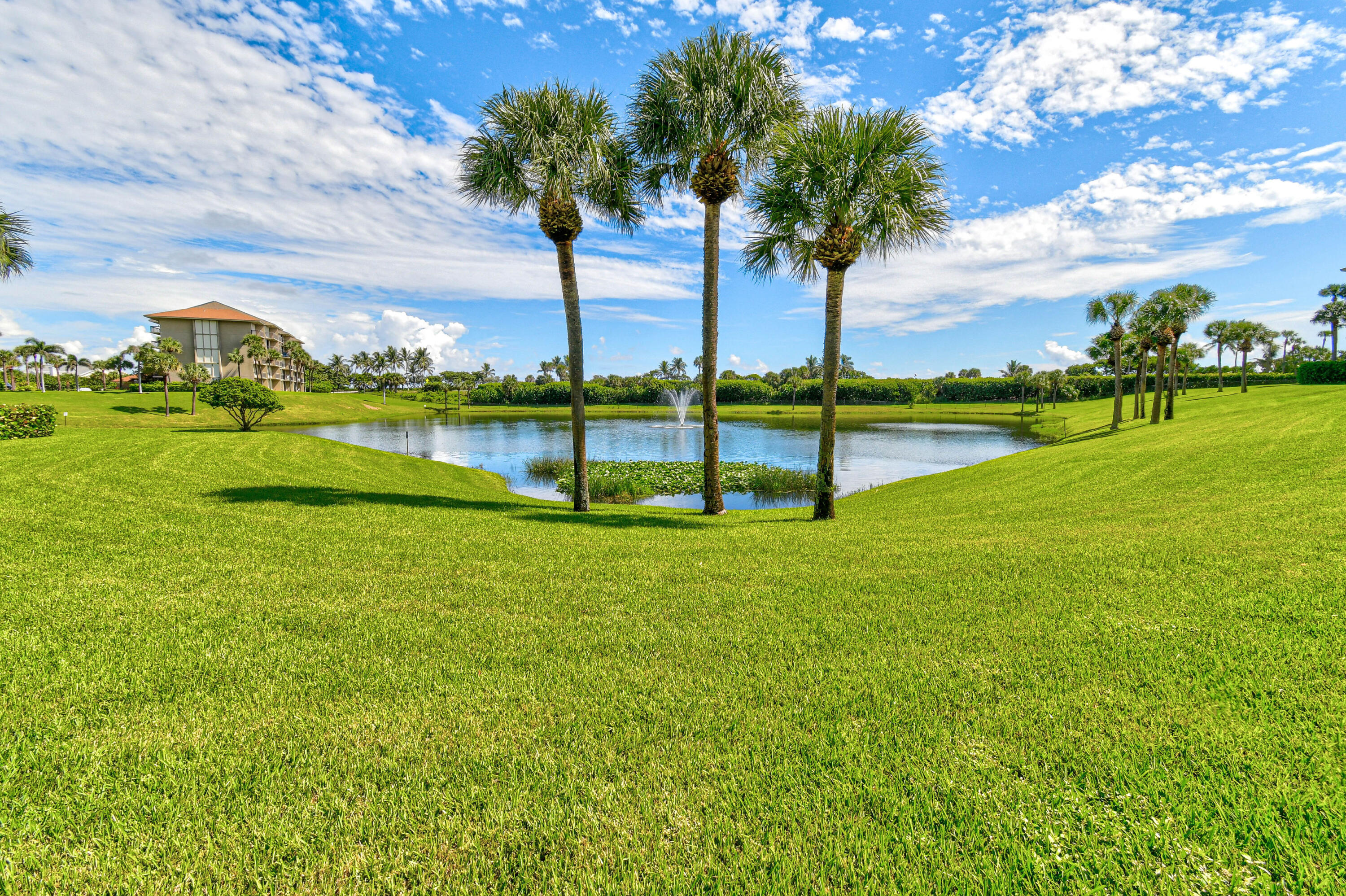 MLS #RX-11142458 image #44