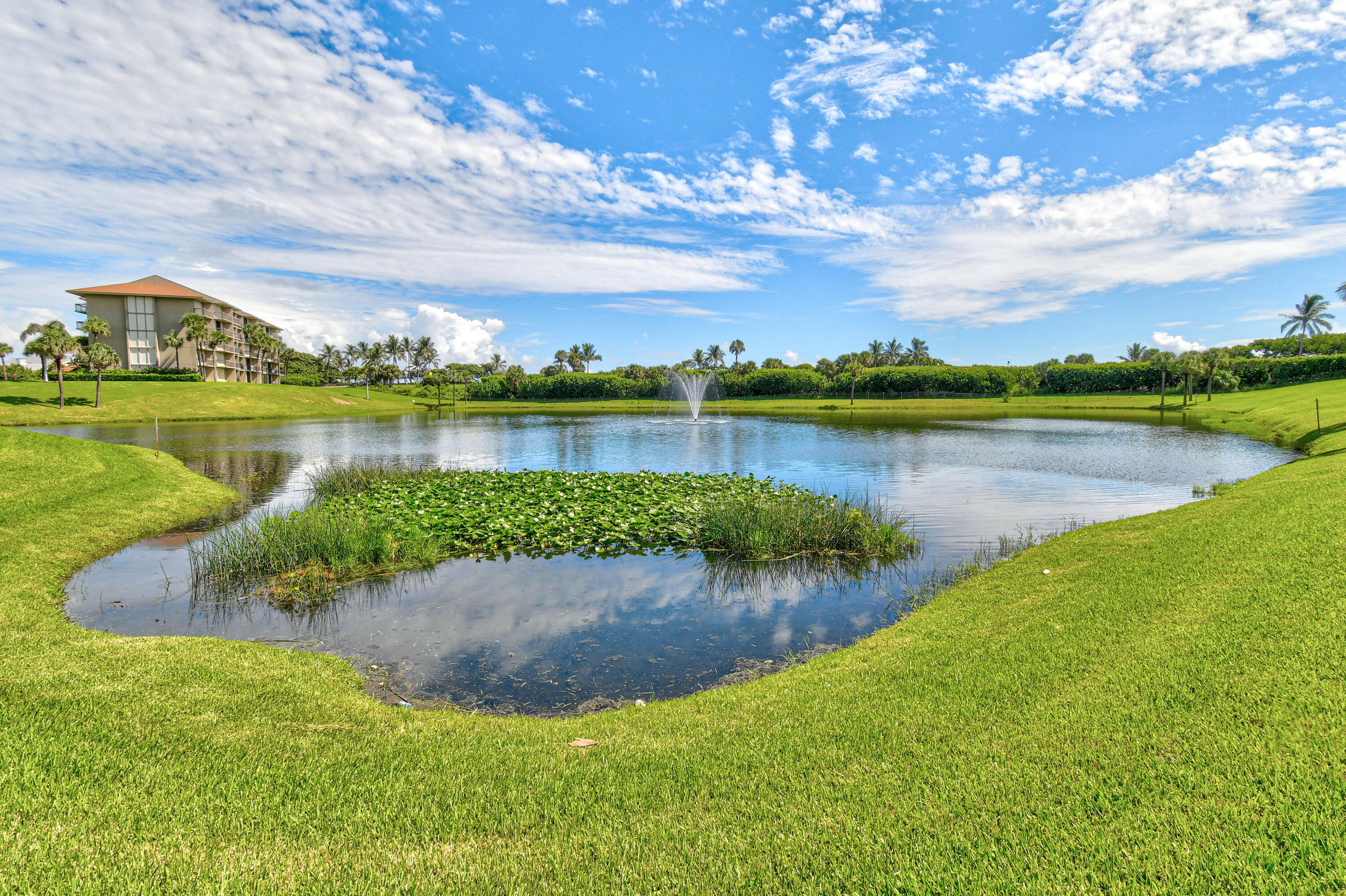 MLS #RX-11142458 image #45