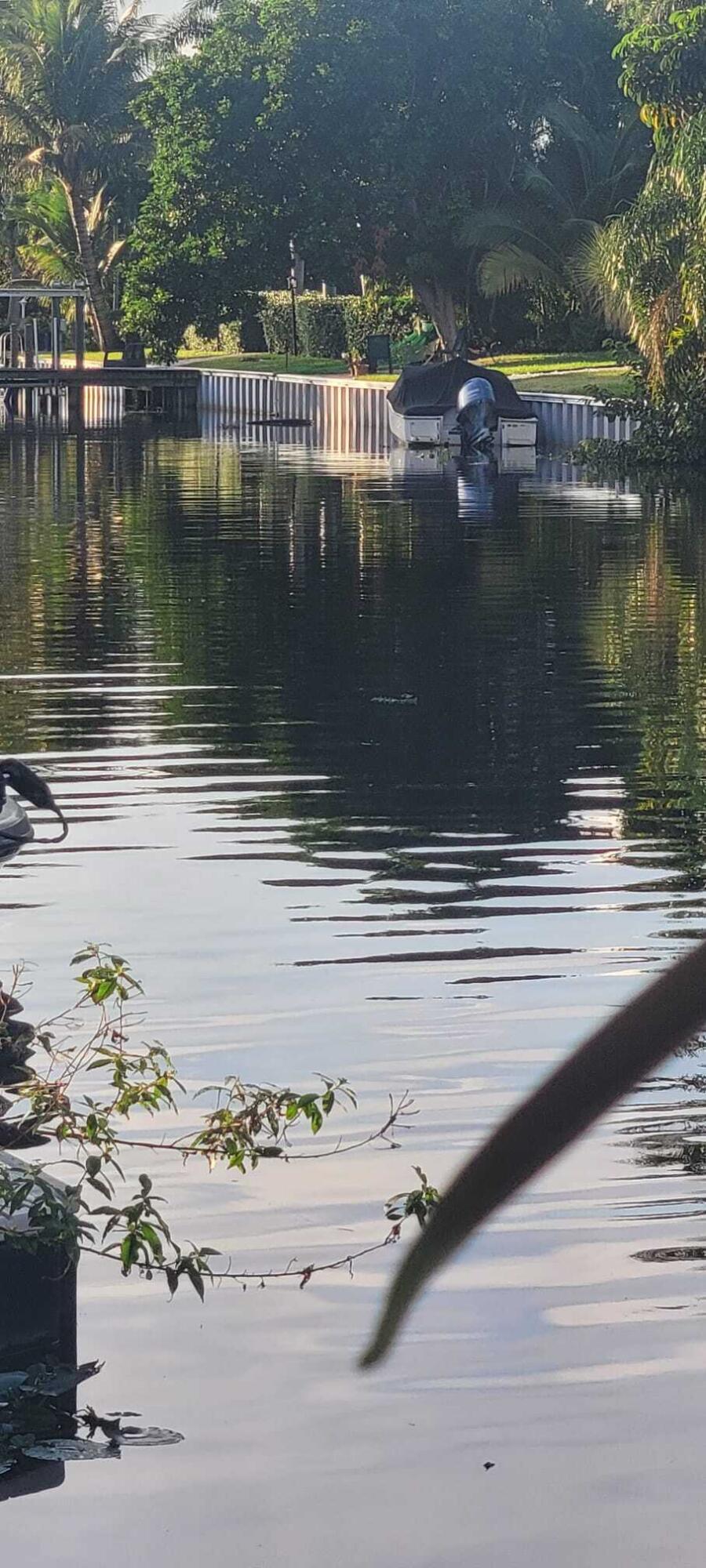 MLS #RX-11142513 image #25