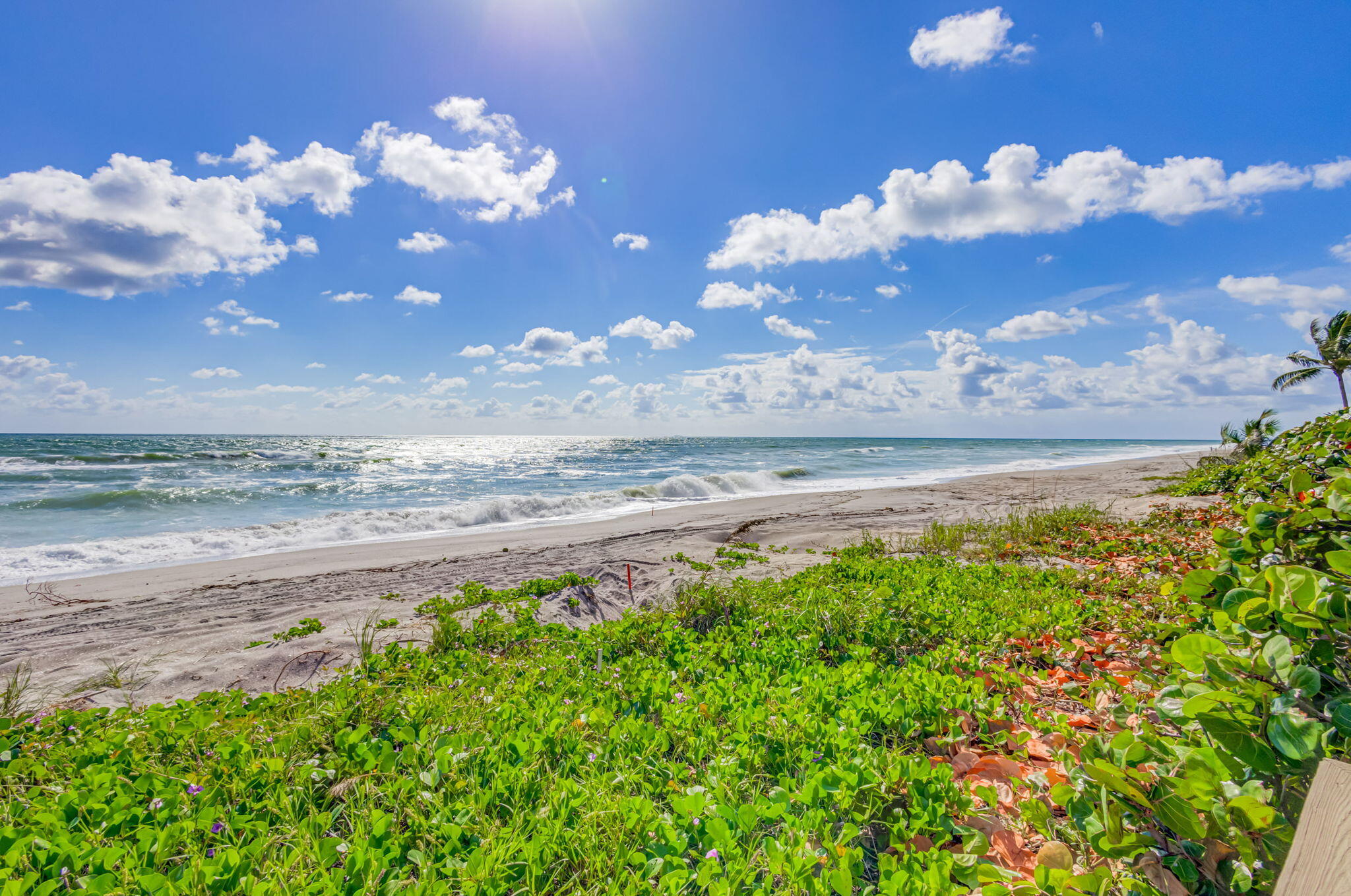 MLS #RX-10960965 image #43