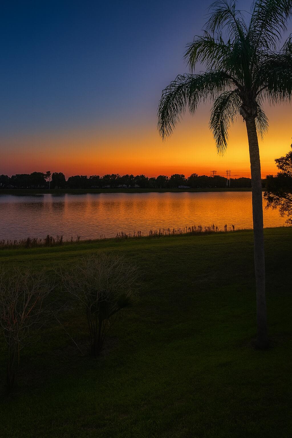 MLS #RX-11142677 image #37