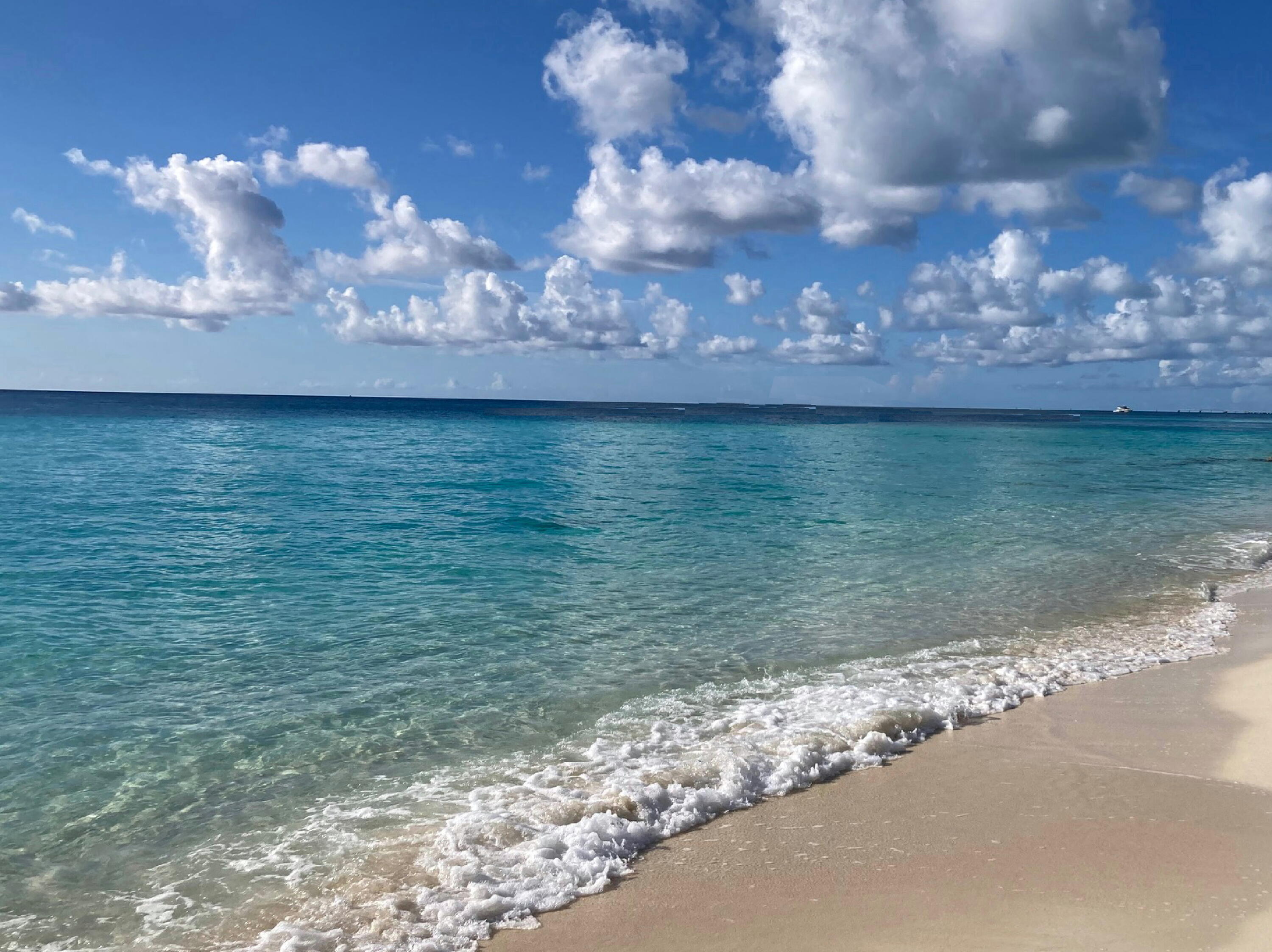 MLS #RX-11142678 image #44