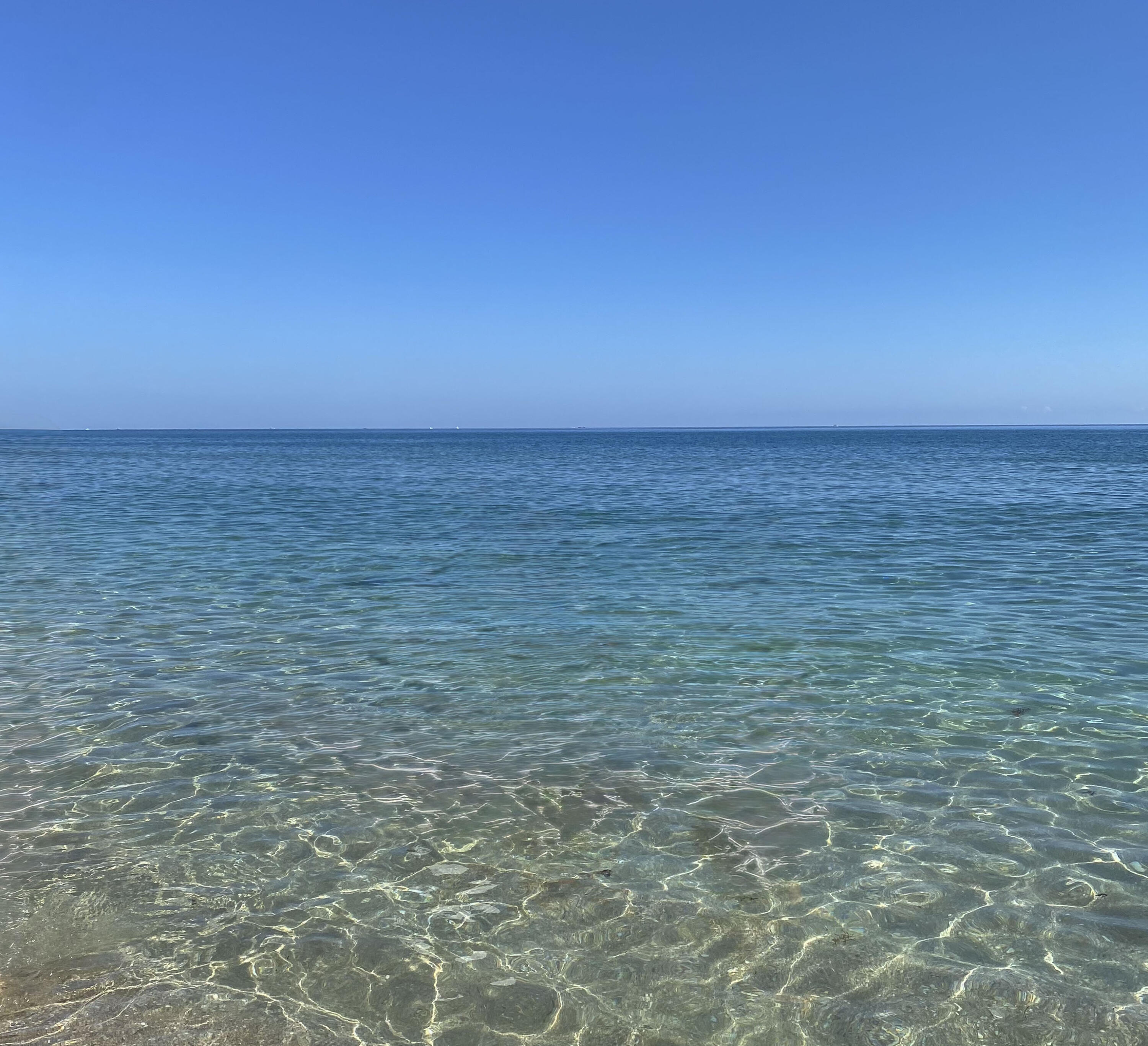 MLS #RX-11142679 image #31